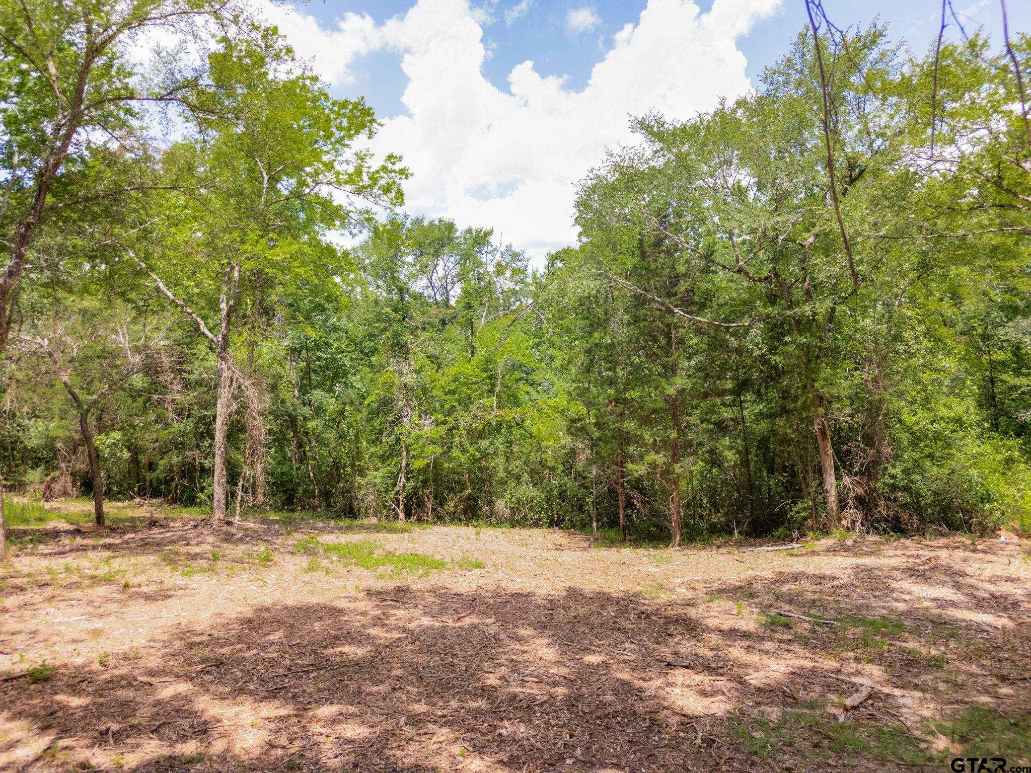 751 An County Road 156