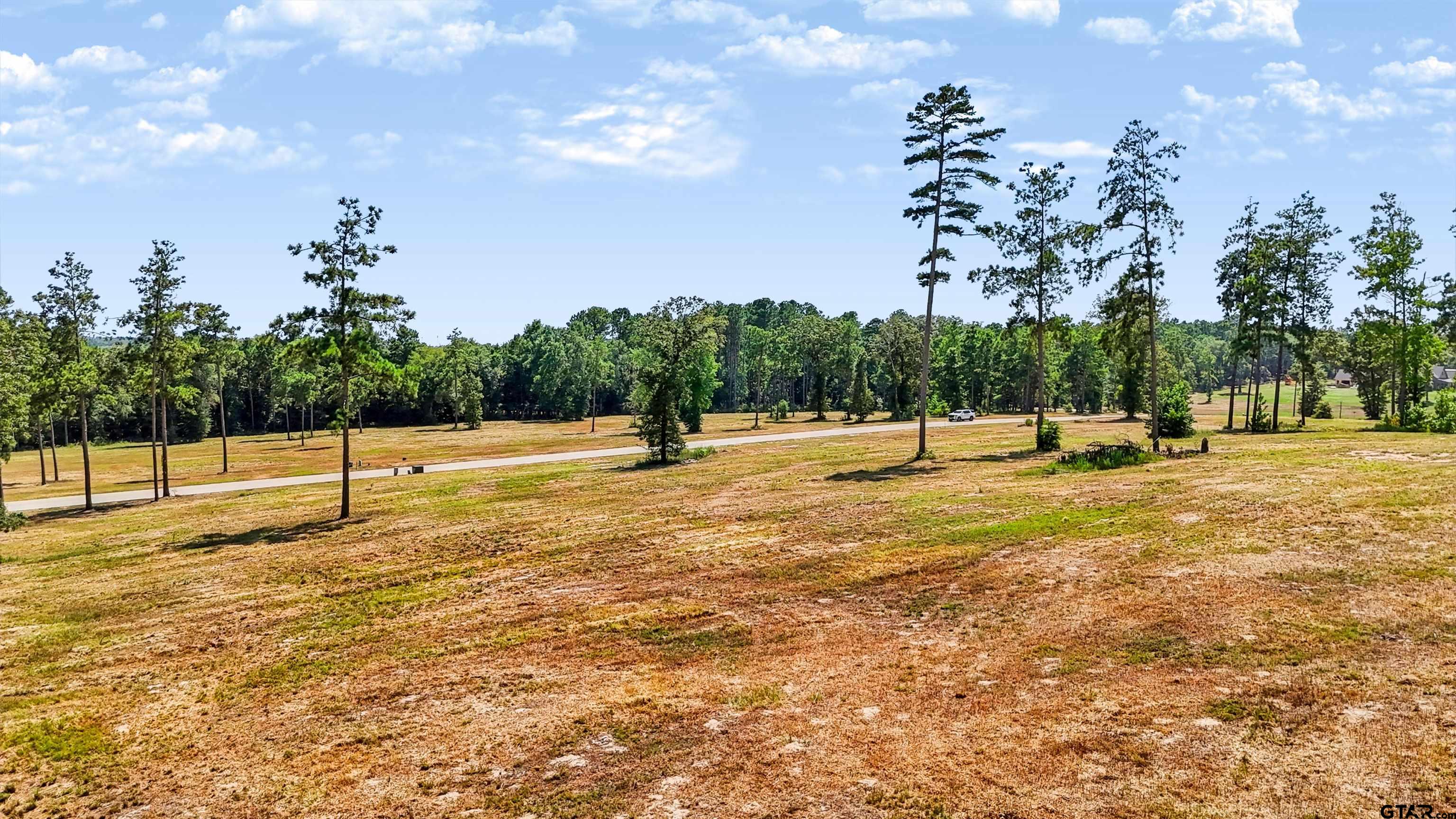 15482 Aniston Ln - (LOT 28)