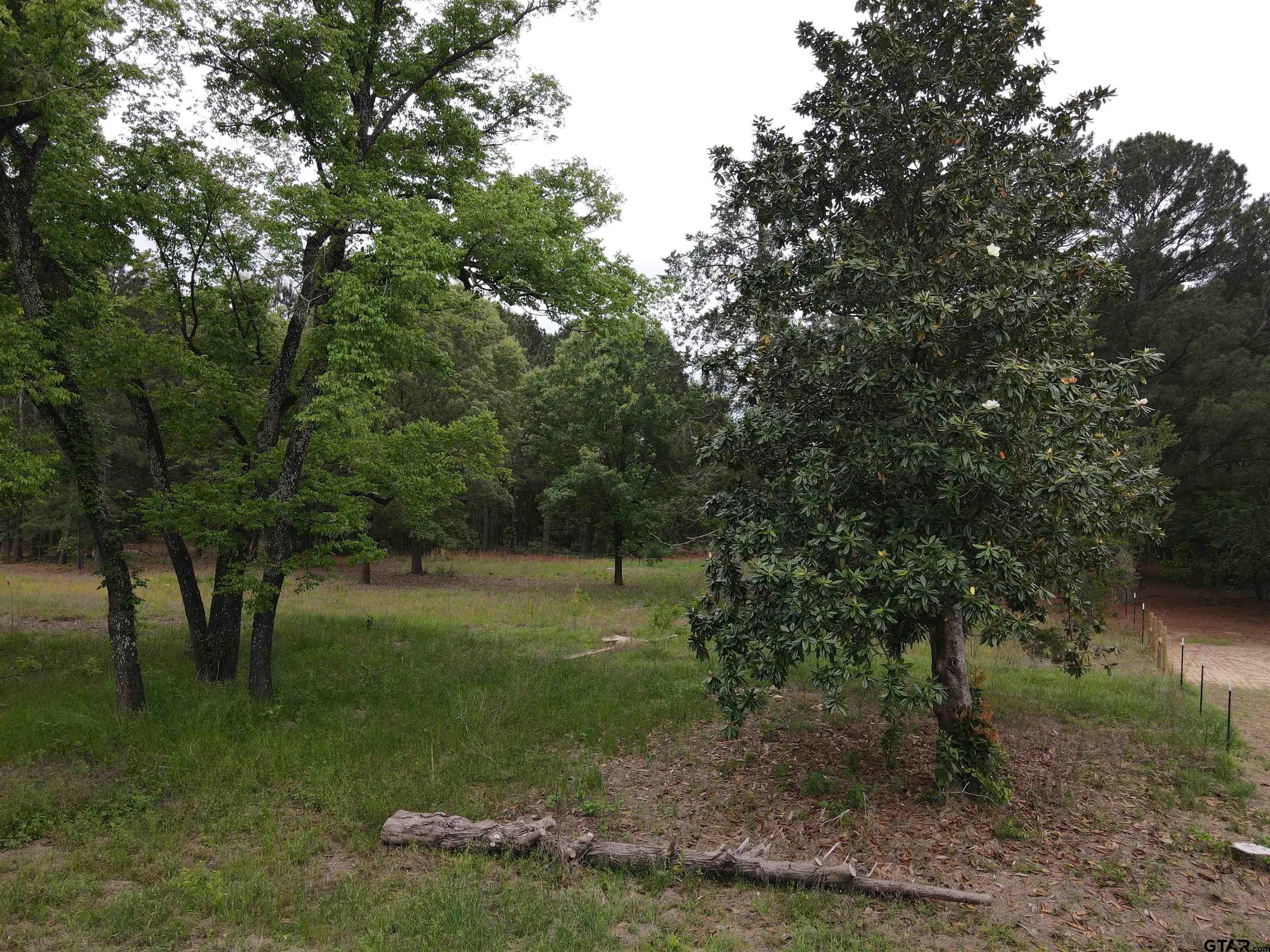 13041 County Road 4122