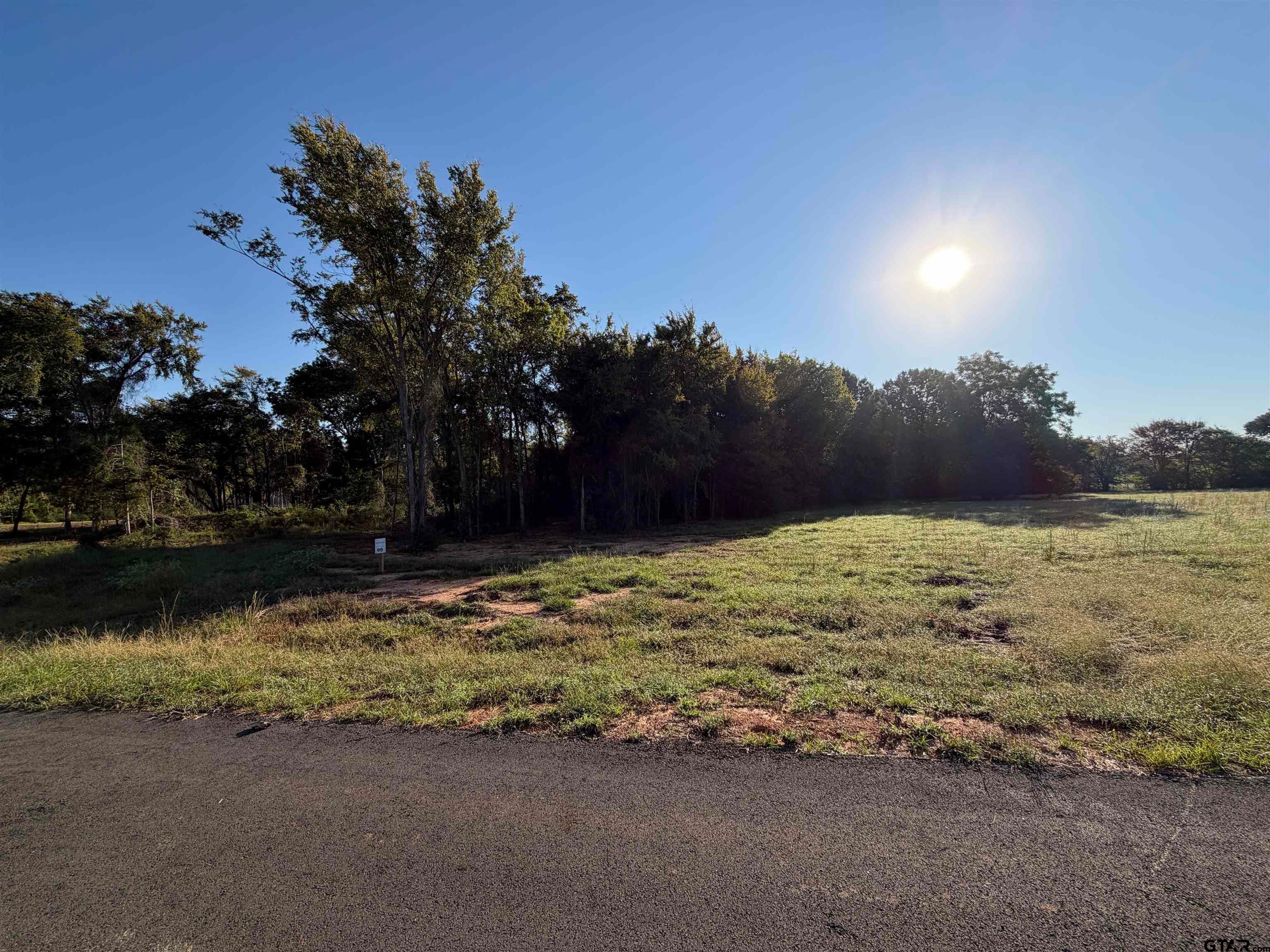 Lot 99 Oak River Estates