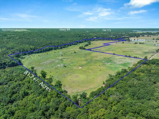 ADDRESS PRIVATE, BEN WHEELER, TX 75754 - Image 0880ffa15b94ccf44283d499c7dfd84e/1528252424