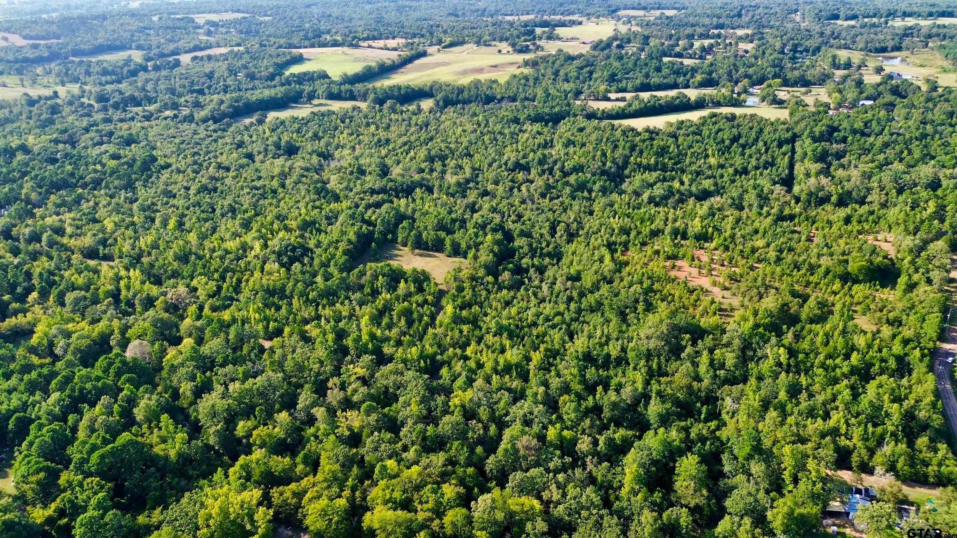 TBD Silver Spruce Rd