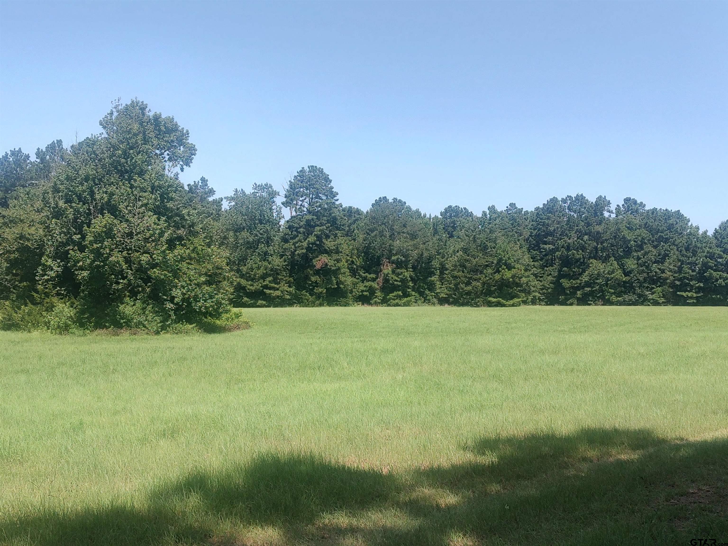 381 County Road 4688