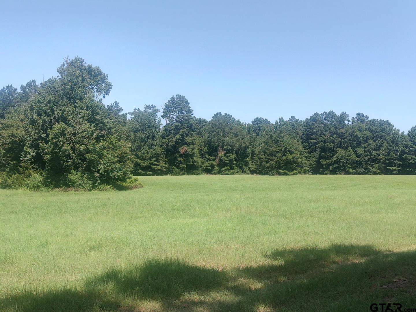 381 County Road 4688
