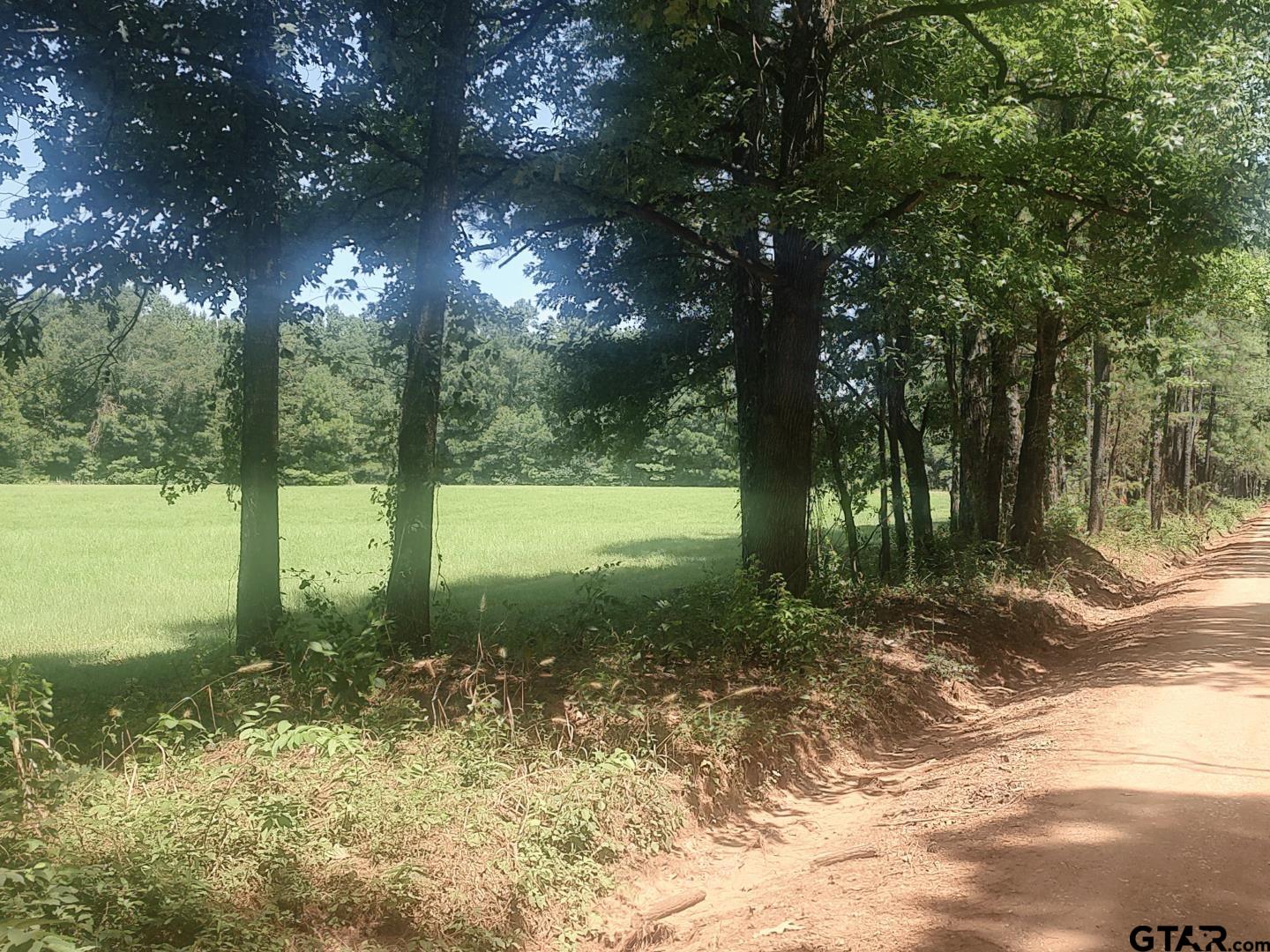 381 County Road 4688