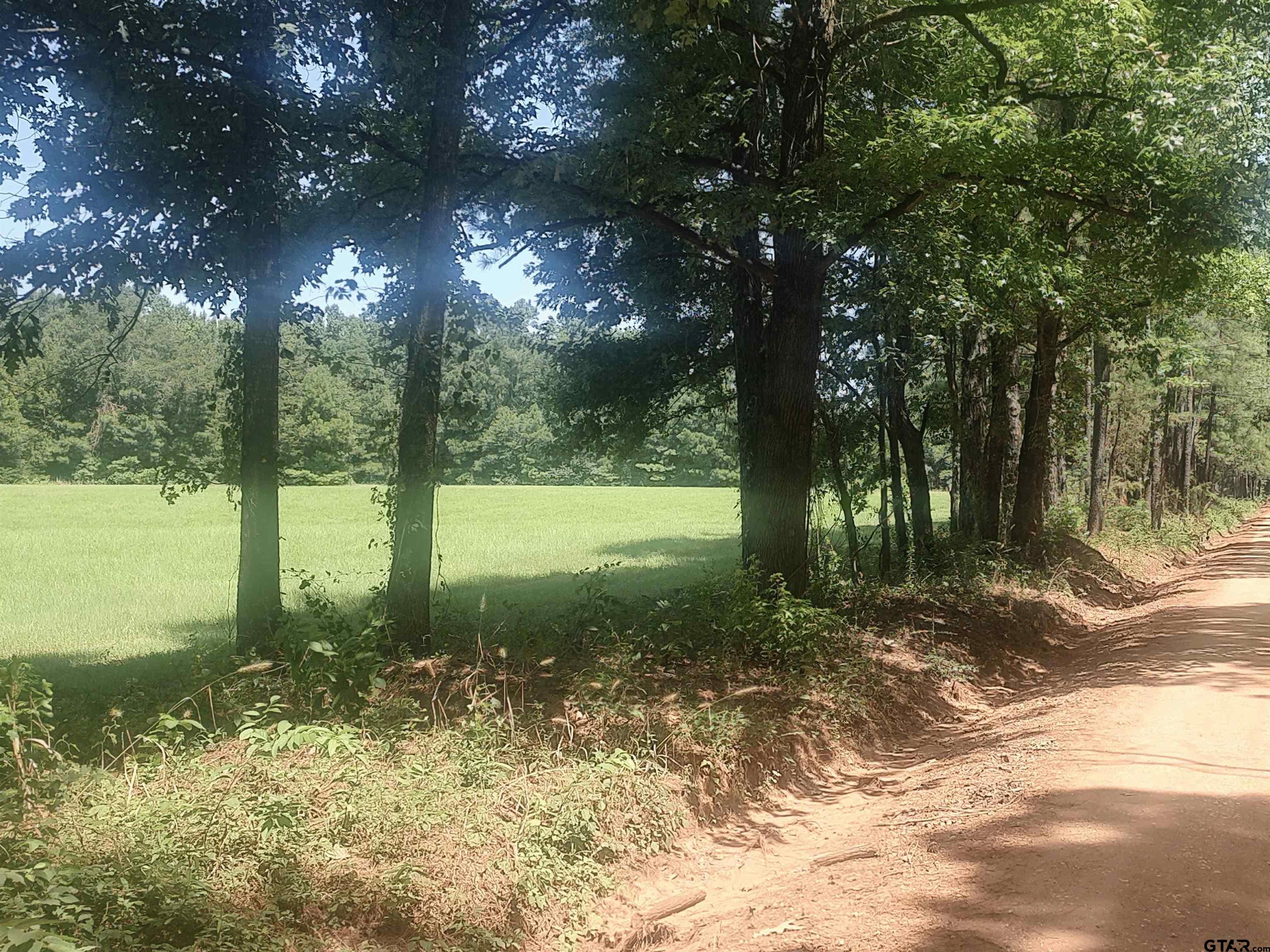 381 County Road 4688