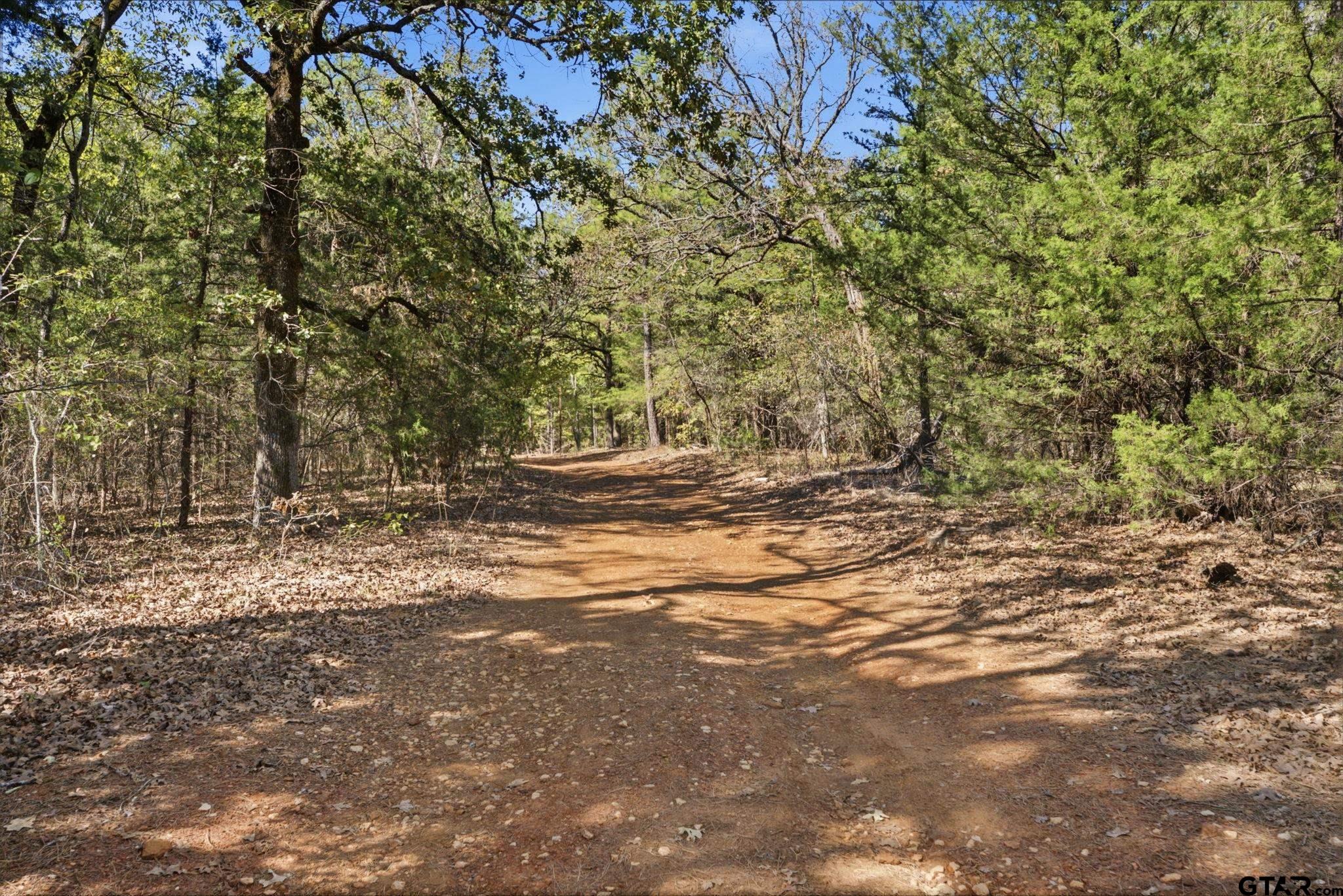524 Country Rd 3860