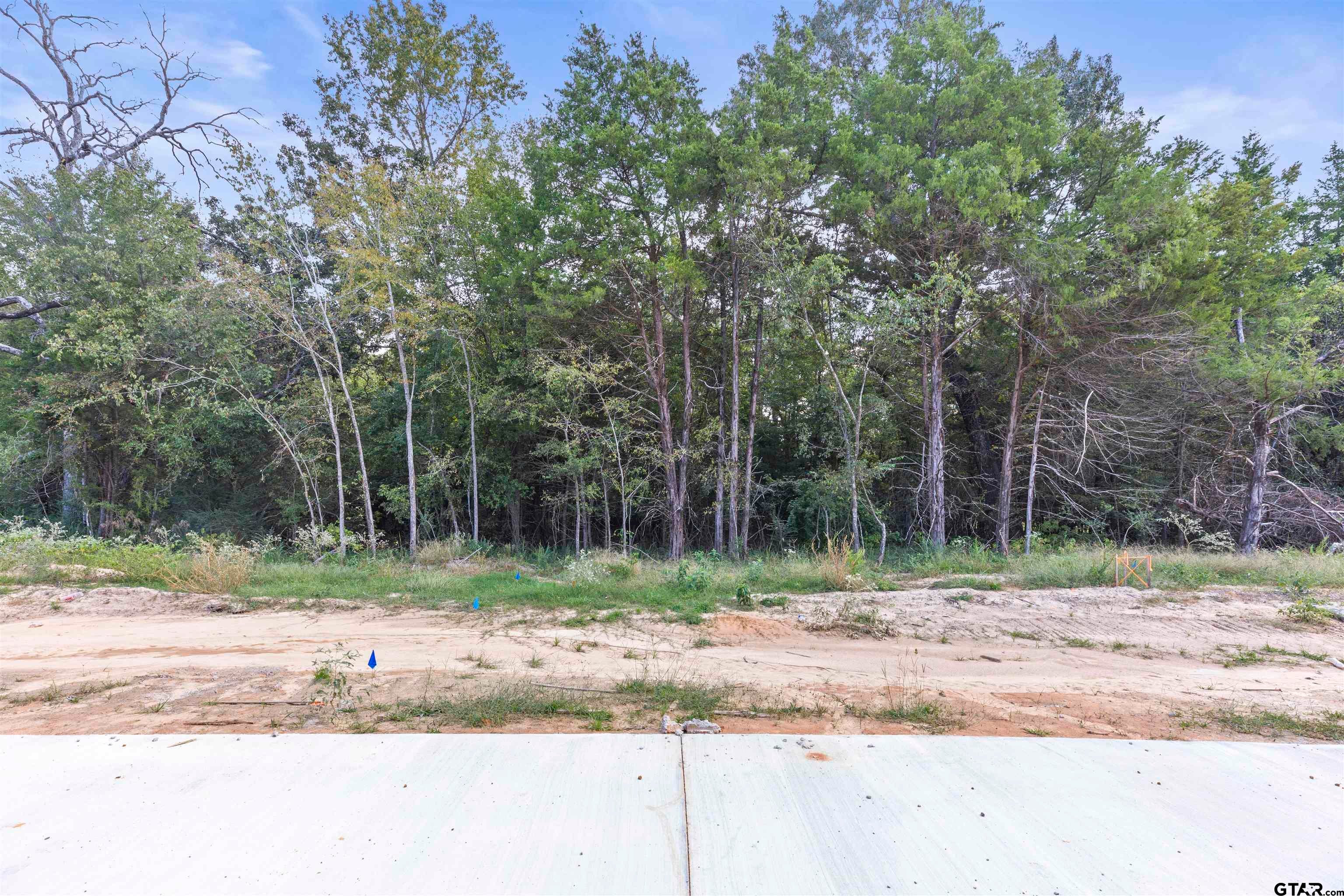 13938 Cedar Hill Ln (Lindale ISD)
