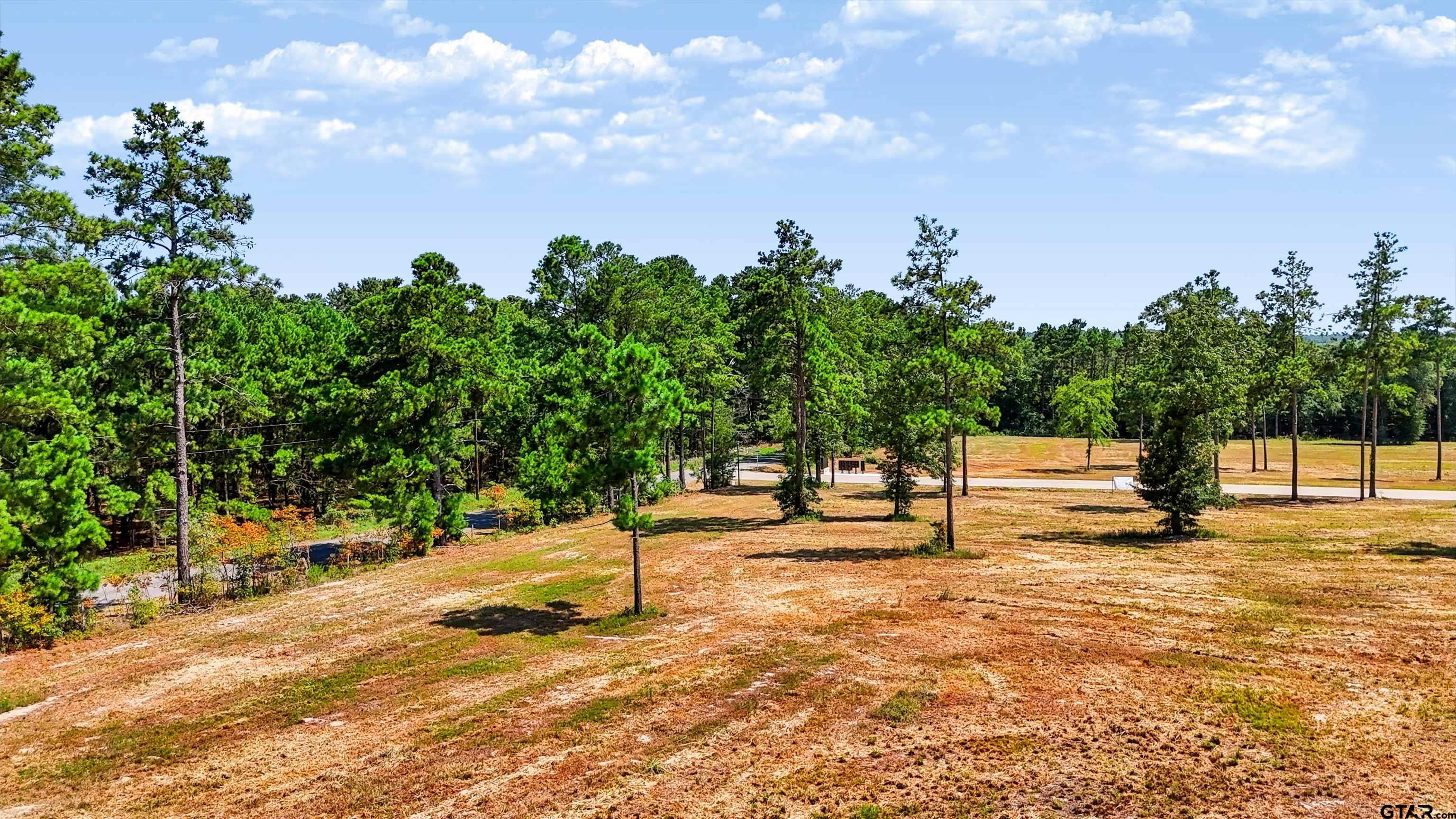 15702 Aniston Ln - (LOT 24)