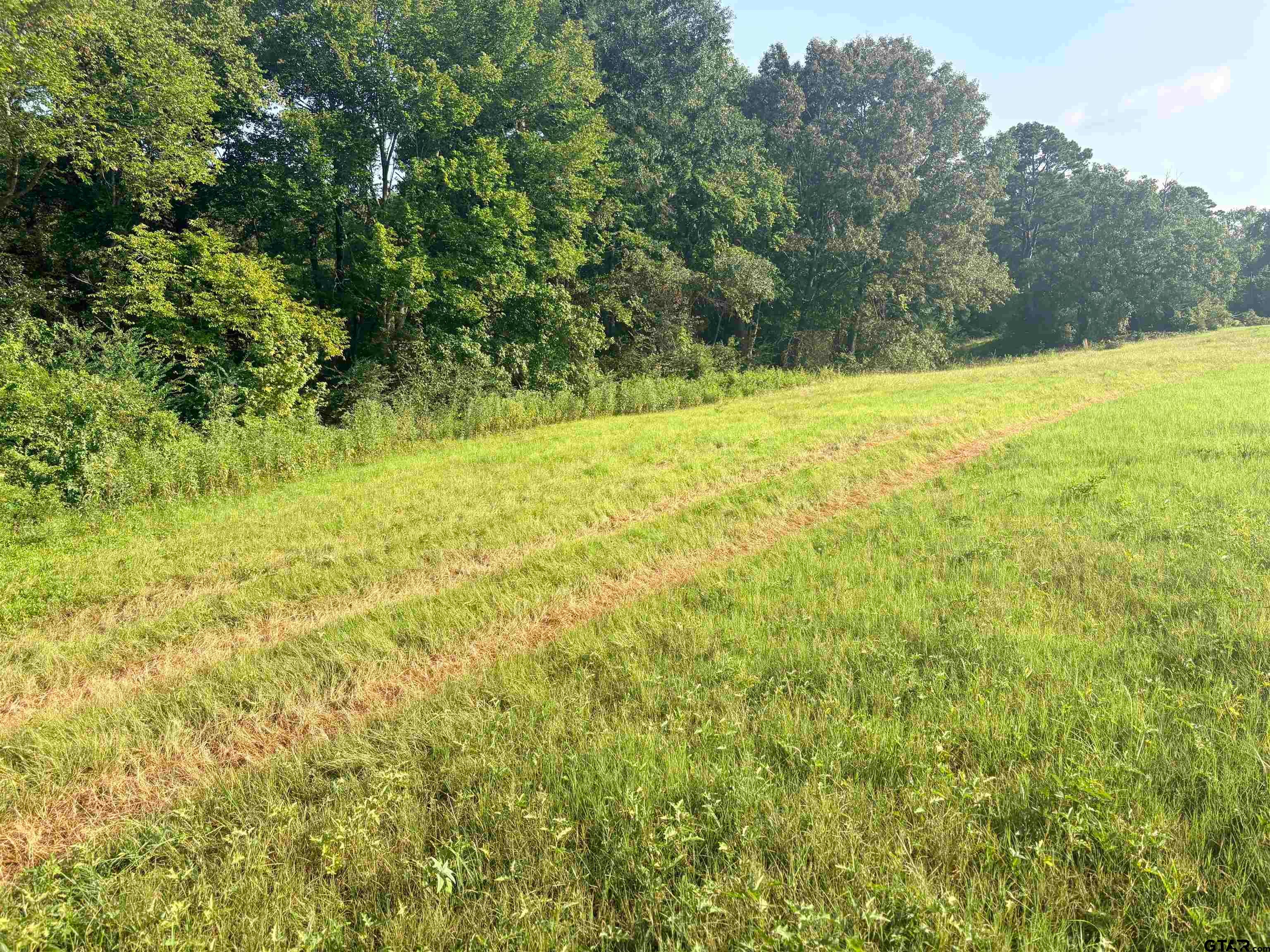 LOT 10 3.383 ACRES FM 15 & County Road 2166