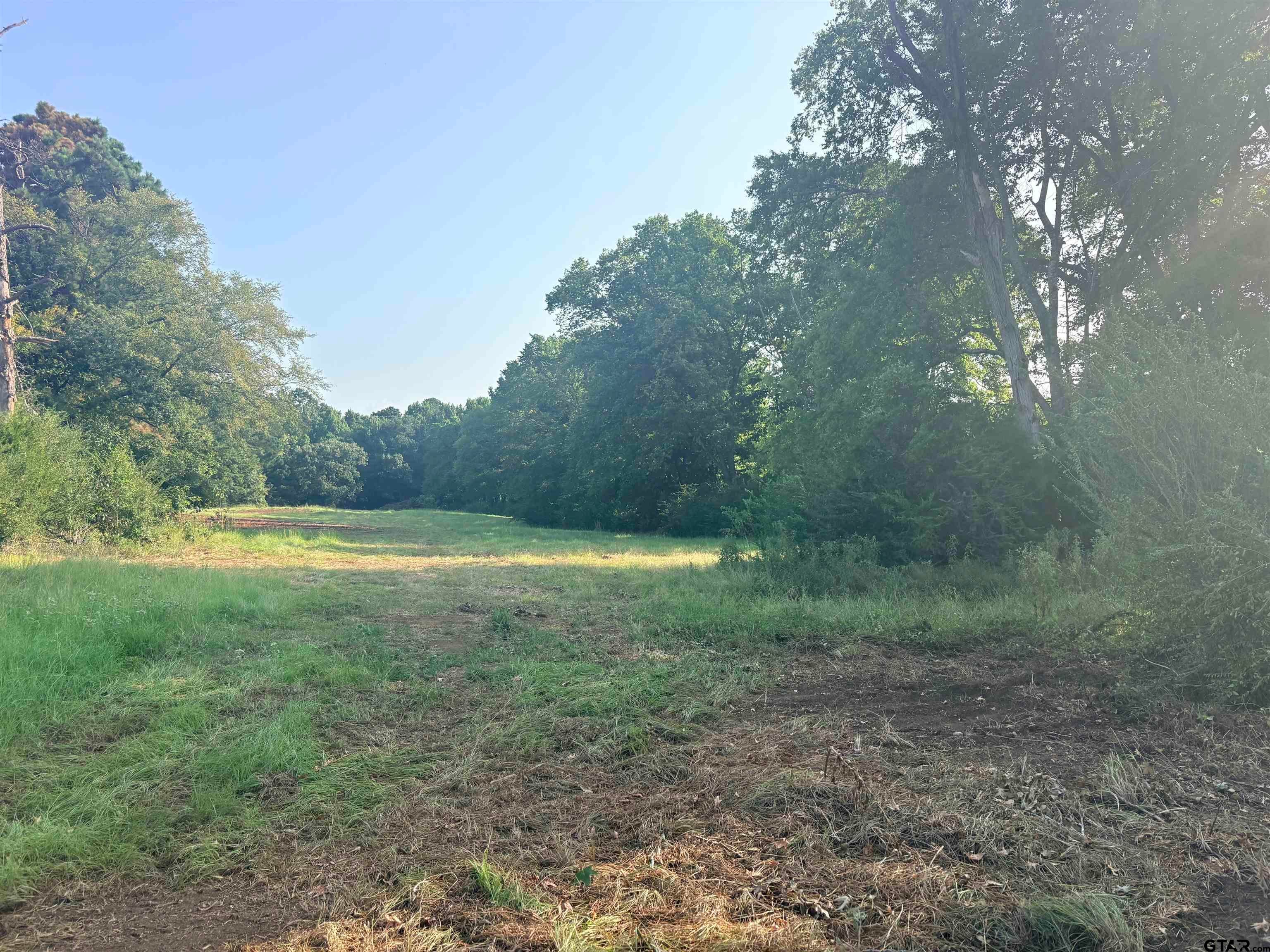 LOT 10 3.383 ACRES FM 15 & County Road 2166