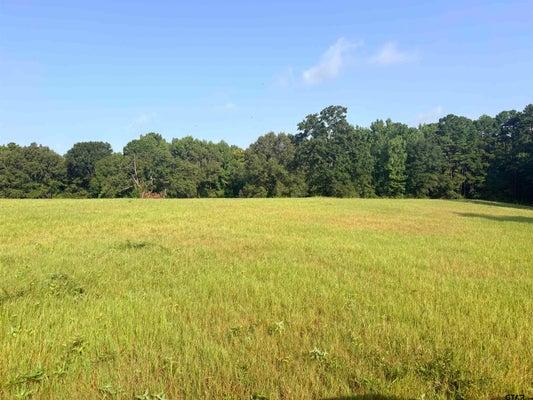 COUNTY RD 2166, TROUP, TX 75789 - Image 0e22b2c4d2da0eb73256b0f884c3ea5a/3746997619