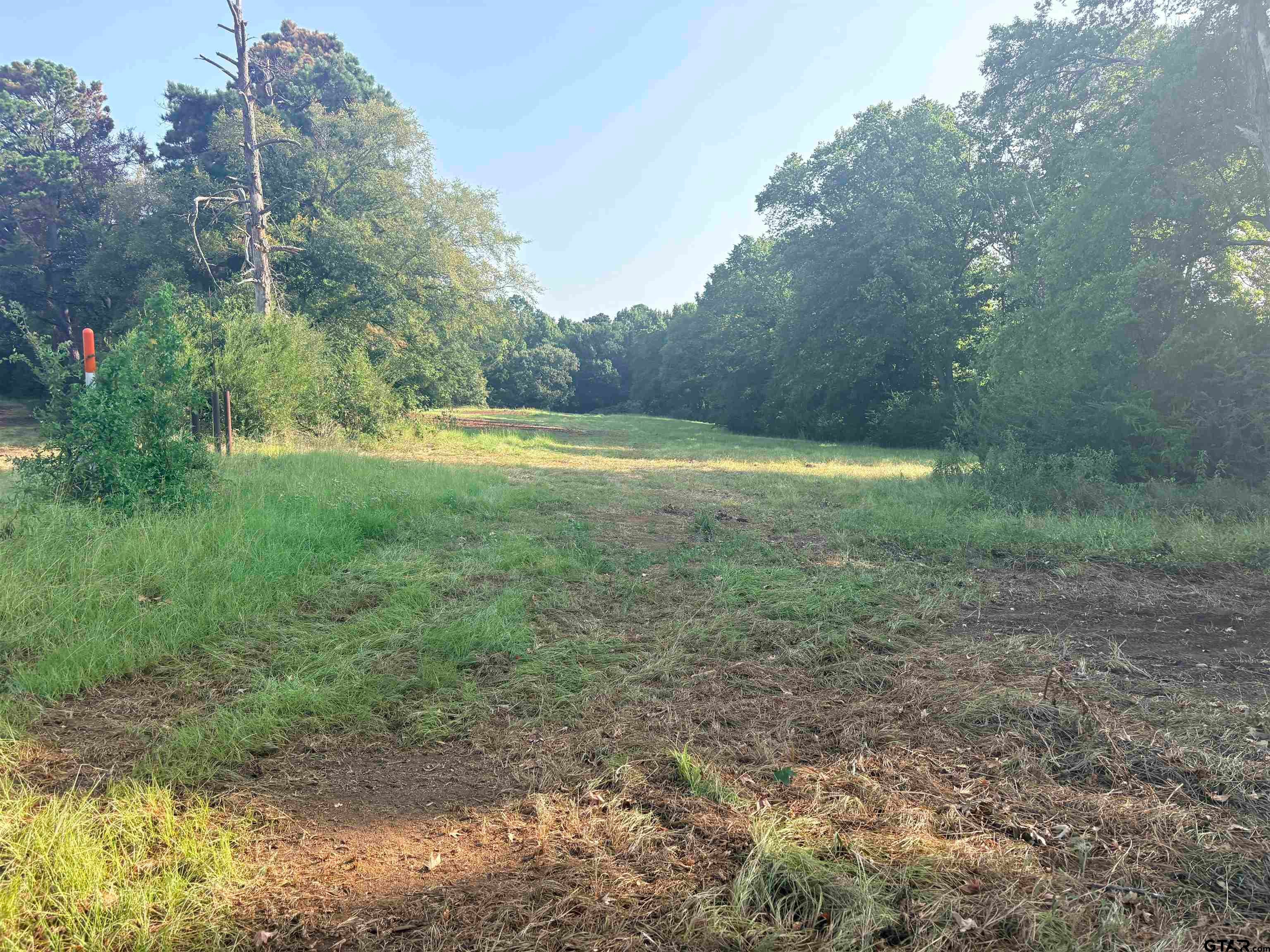 LOT 10 3.383 ACRES FM 15 & County Road 2166
