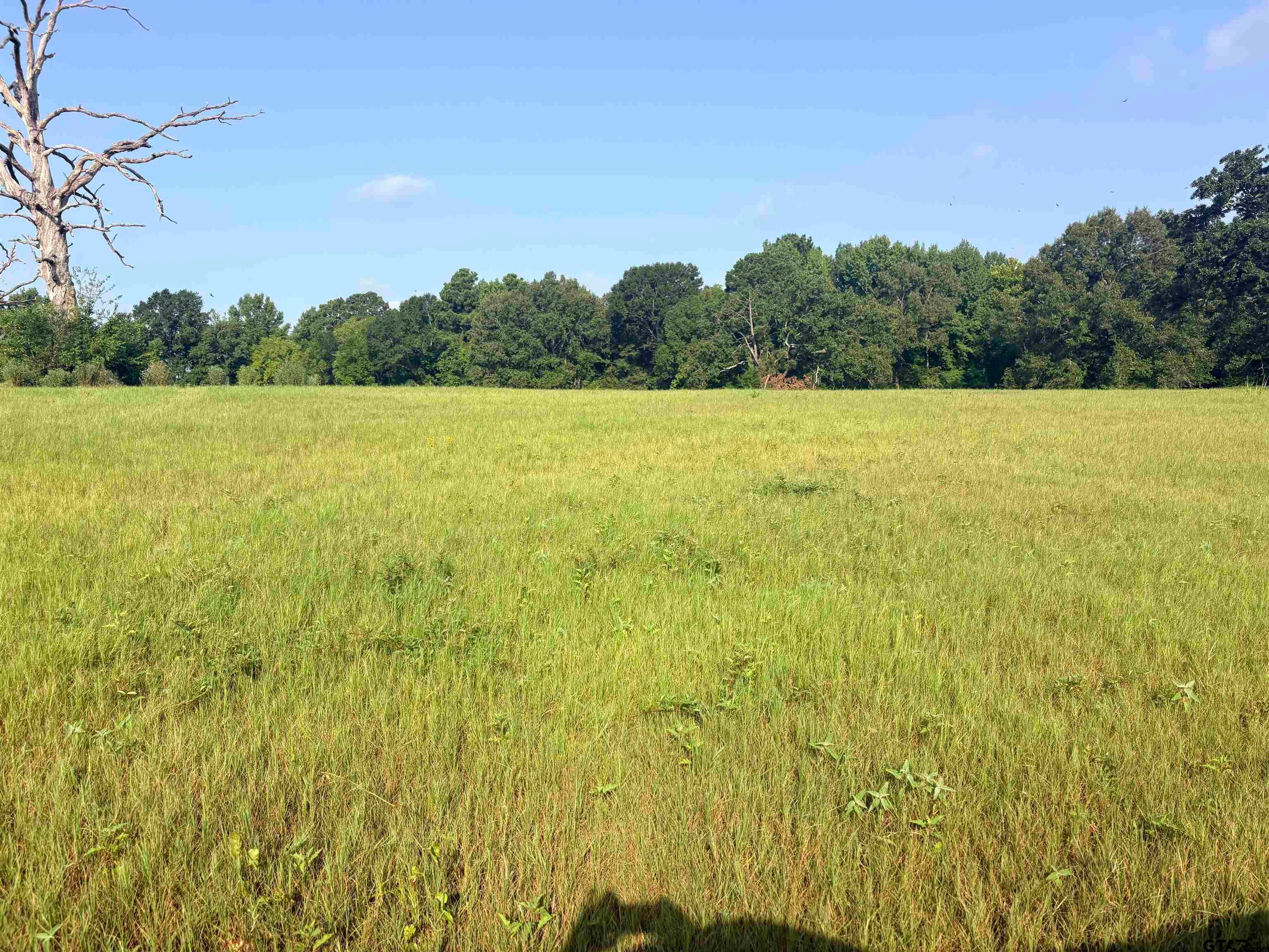 LOT 10 3.383 ACRES FM 15 & County Road 2166