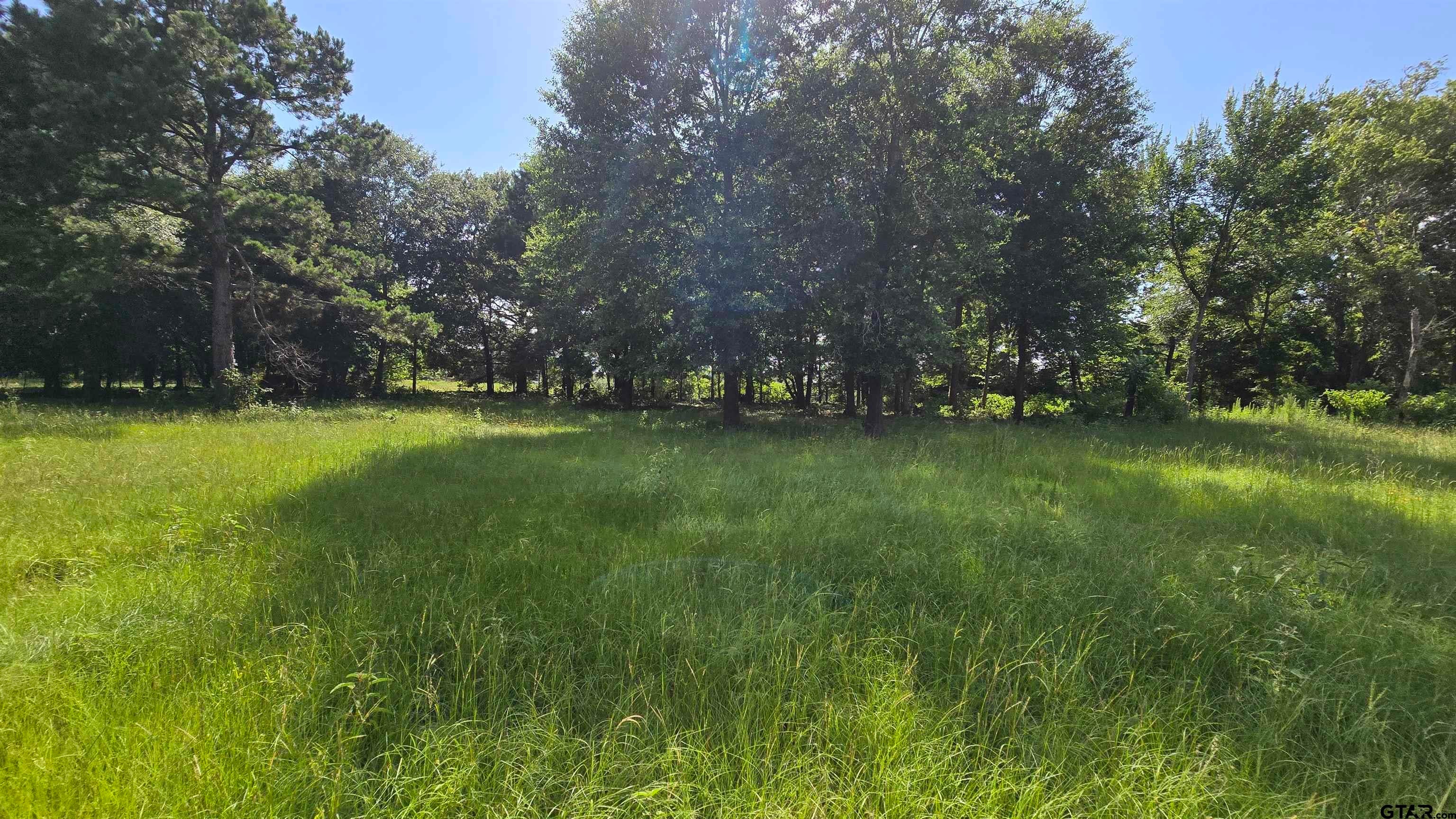 22695 County Road 223