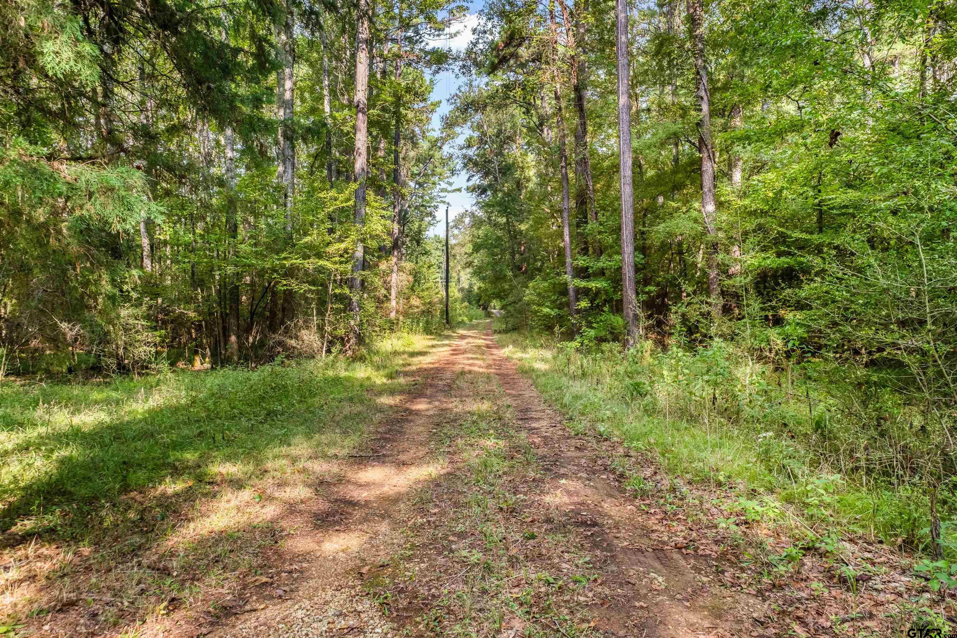 16590 E state Highway 21