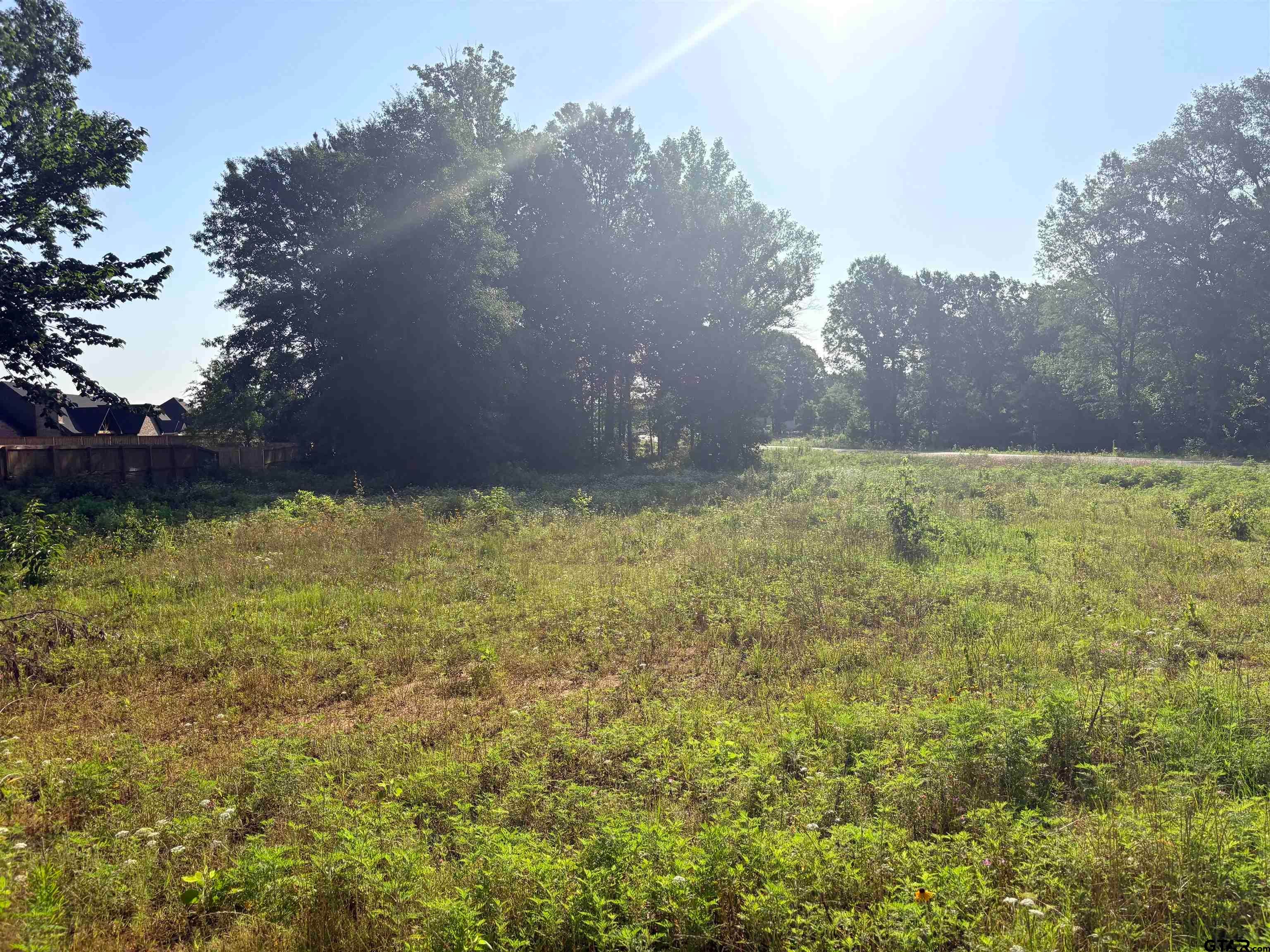 21105 Patriot Circle (Bullard ISD)
