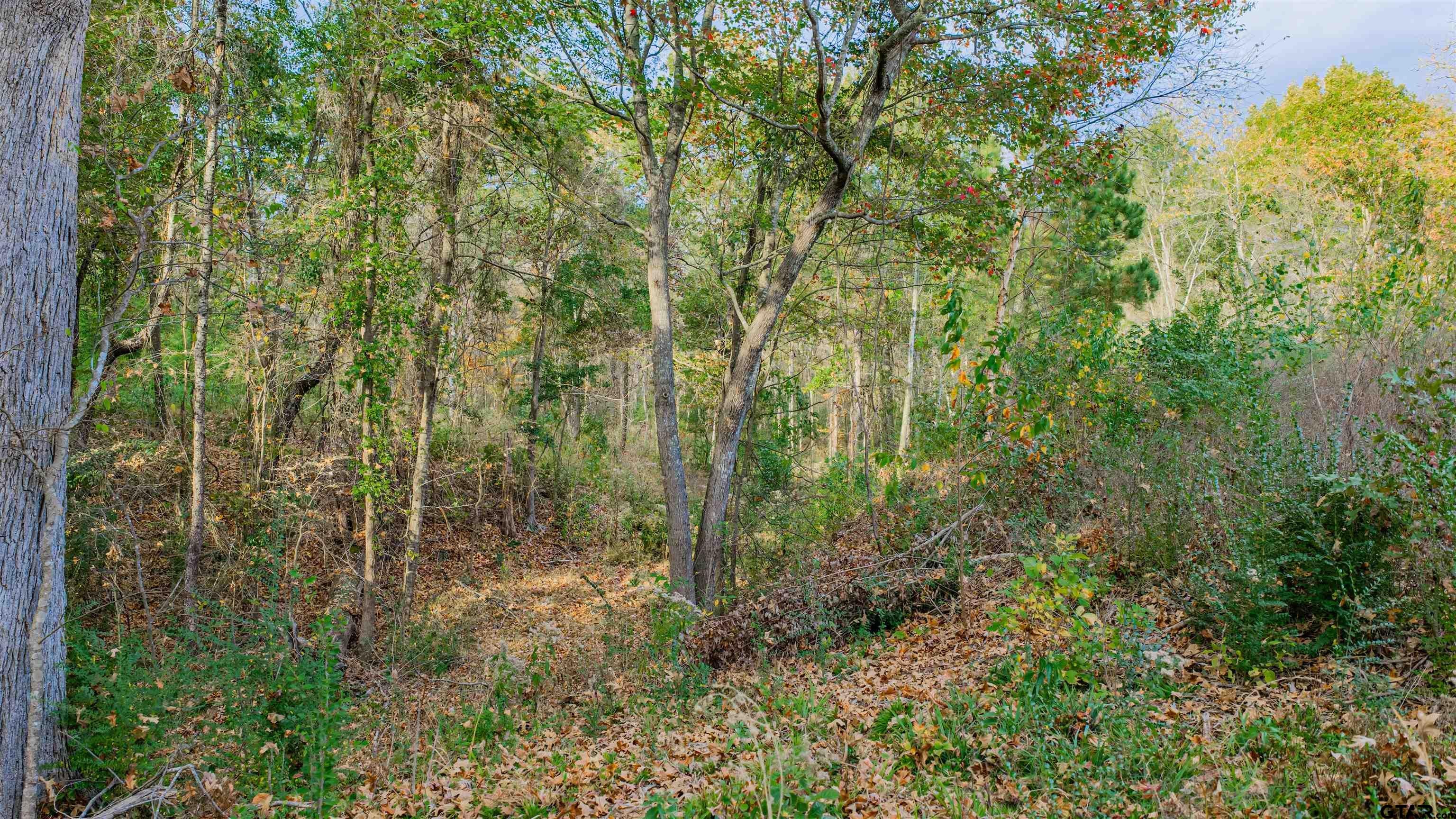 0000 Savannah Hills