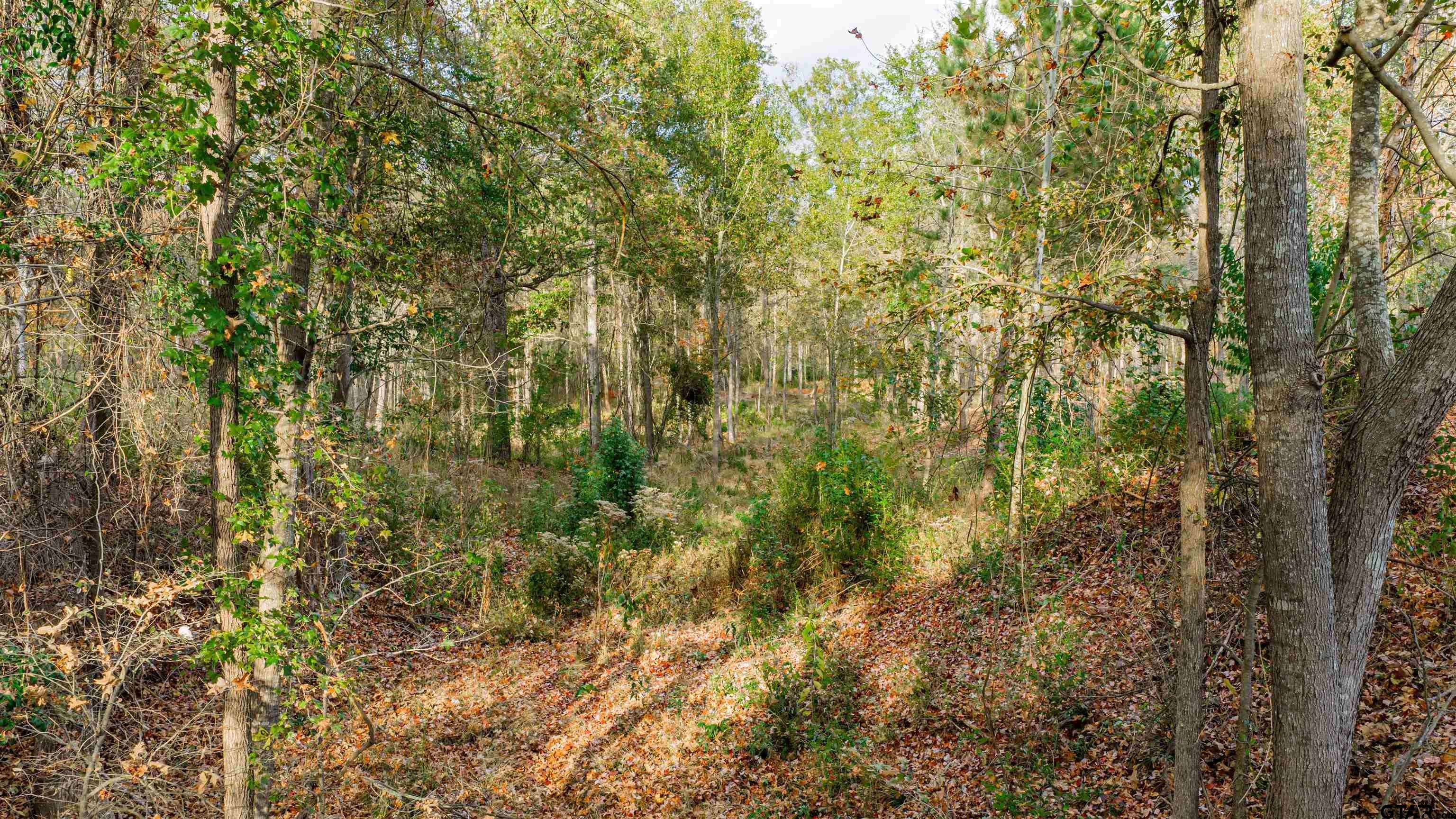 0000 Savannah Hills