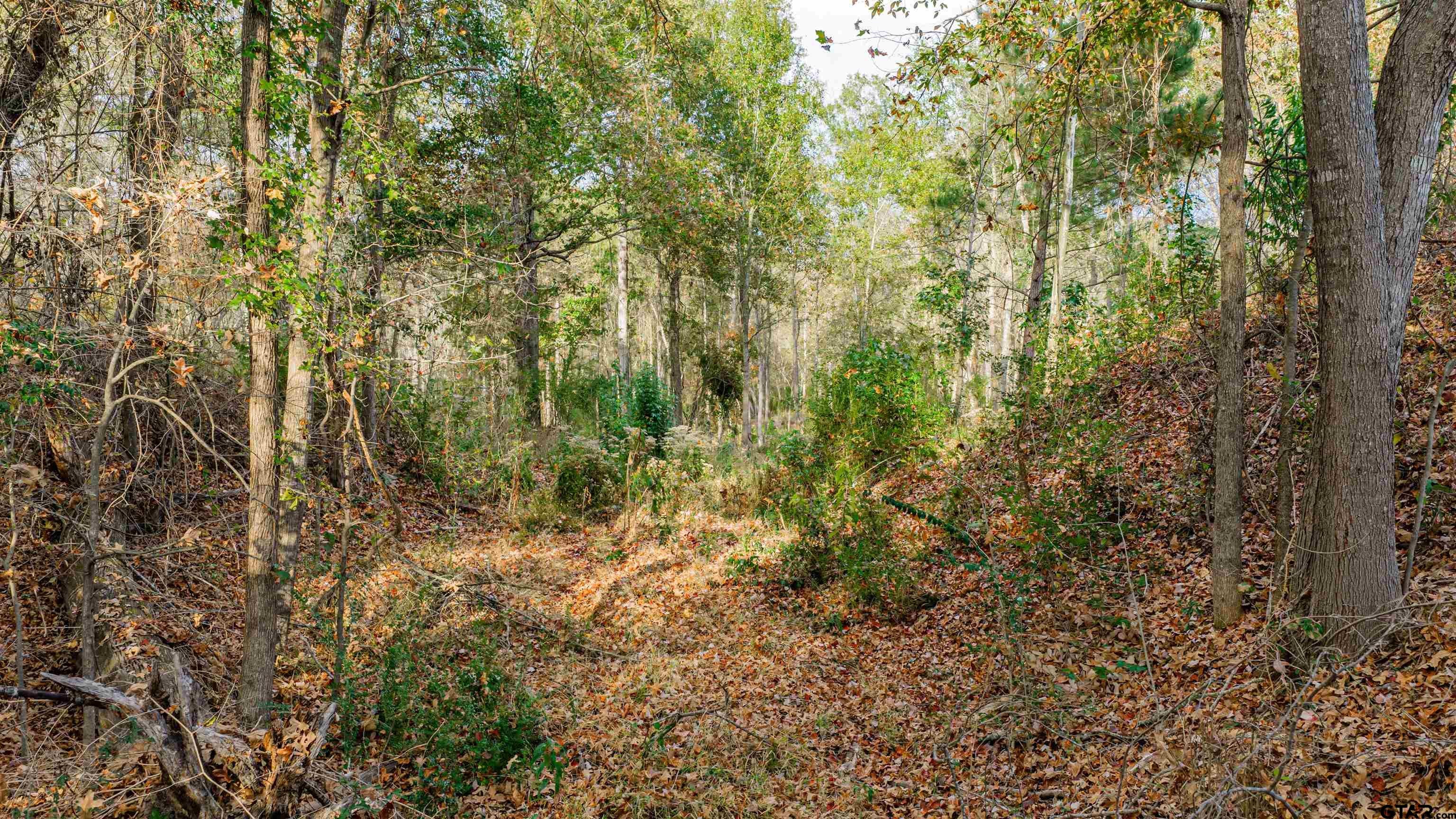 0000 Savannah Hills