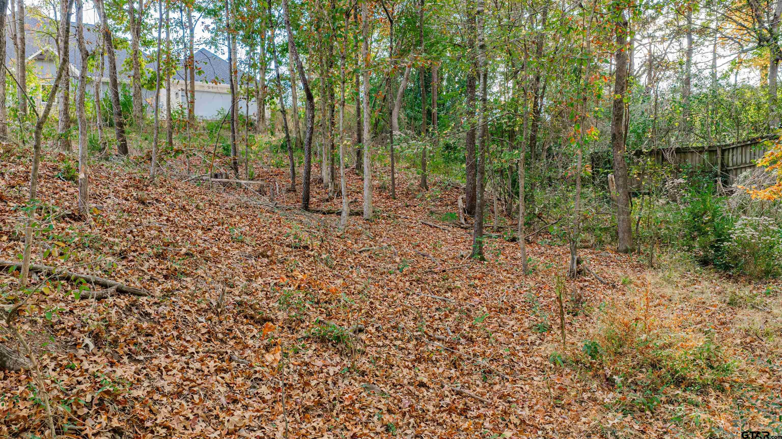 0000 Savannah Hills