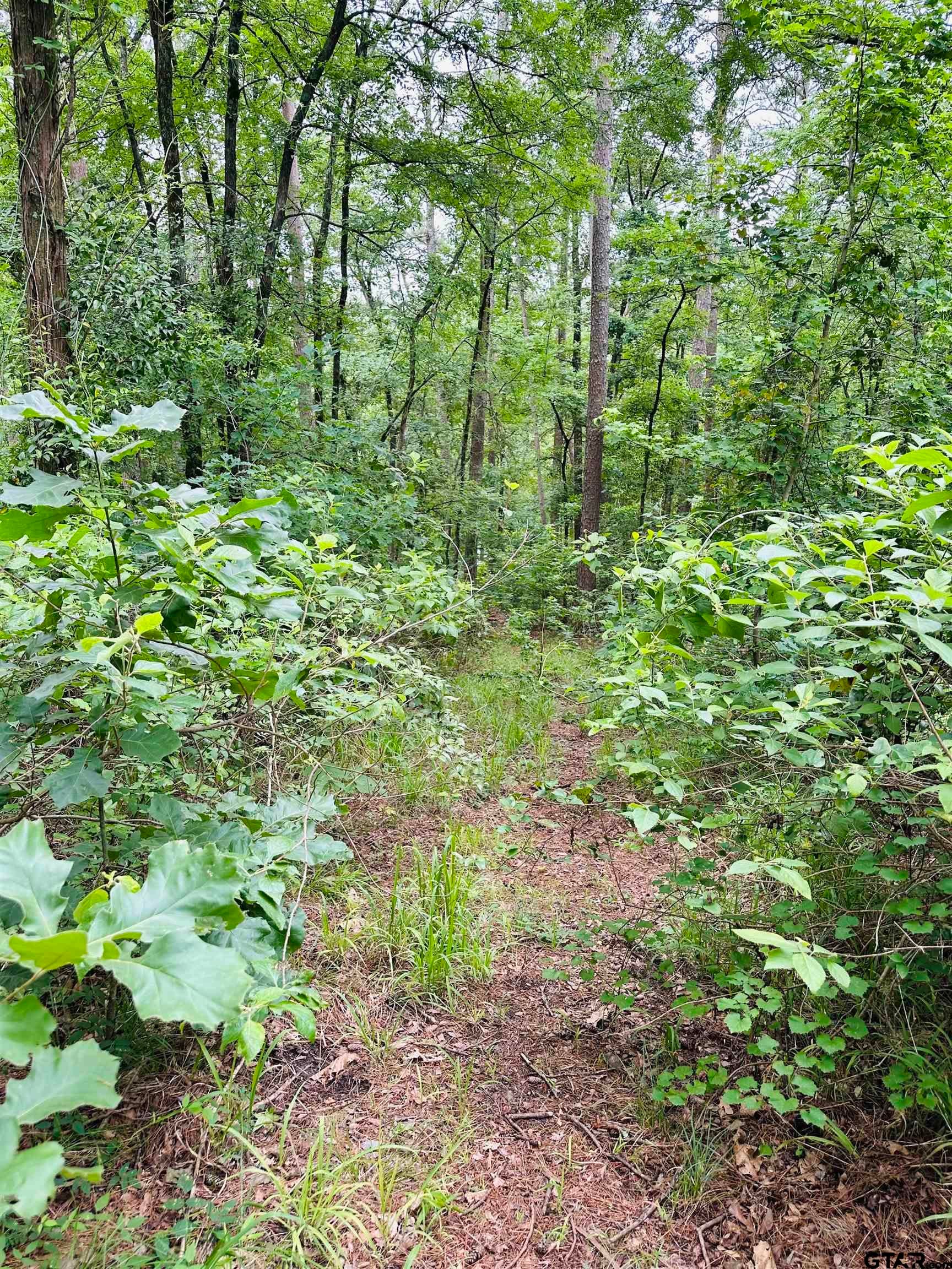 TBD 5 Ac County Road 4590
