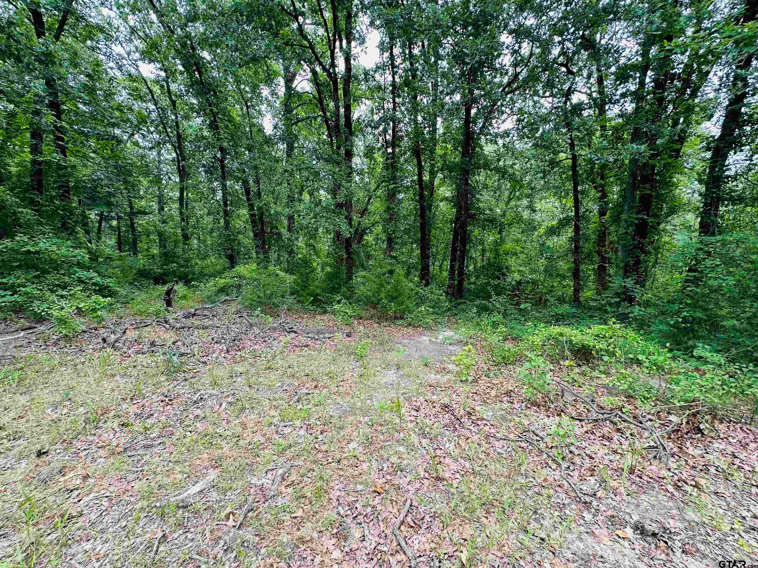 TBD 5 Ac County Road 4590
