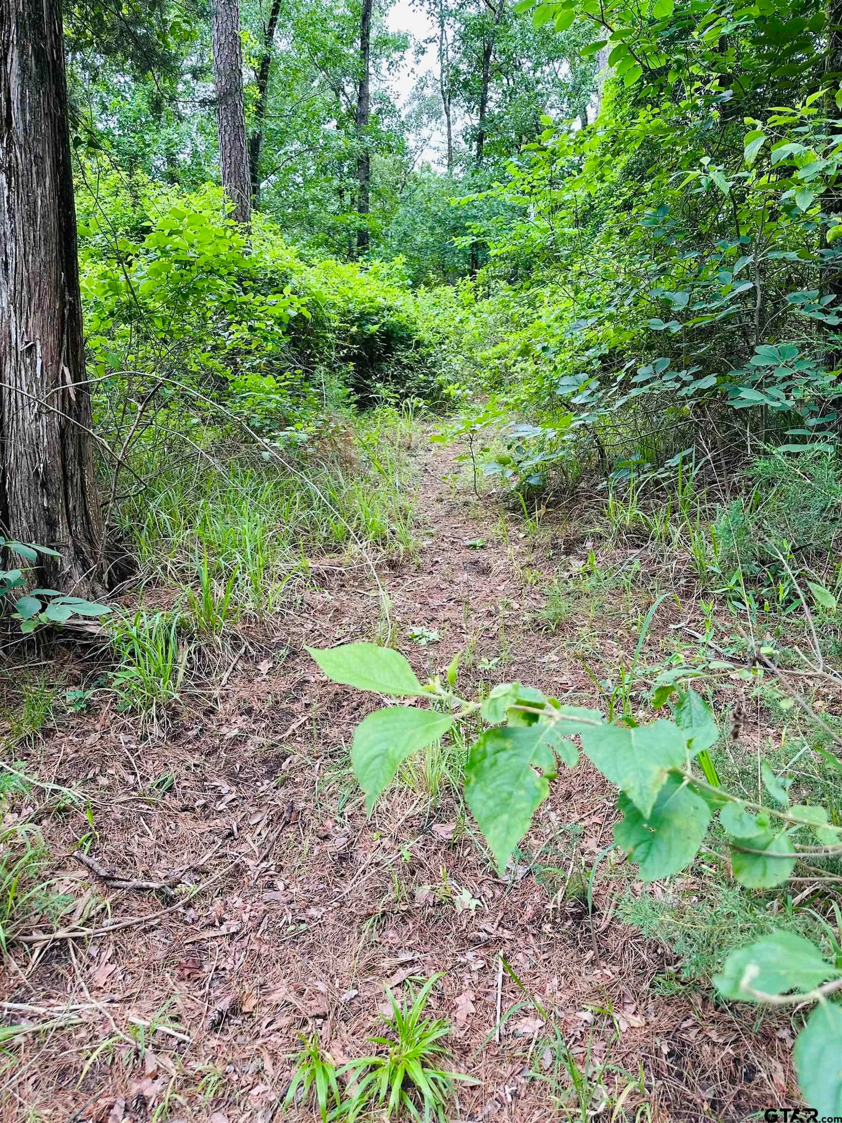 TBD 5 Ac County Road 4590