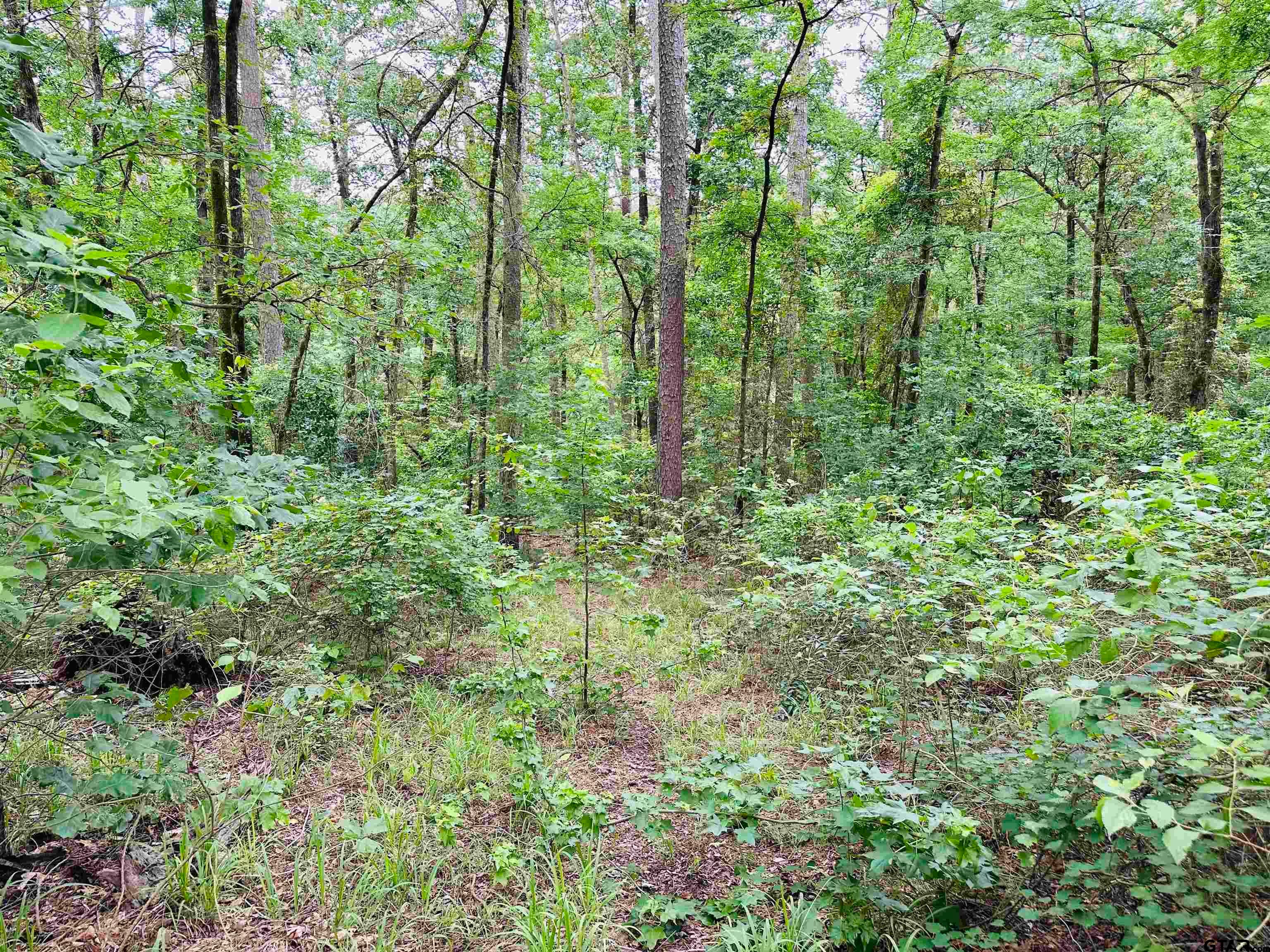 TBD 5 Ac County Road 4590