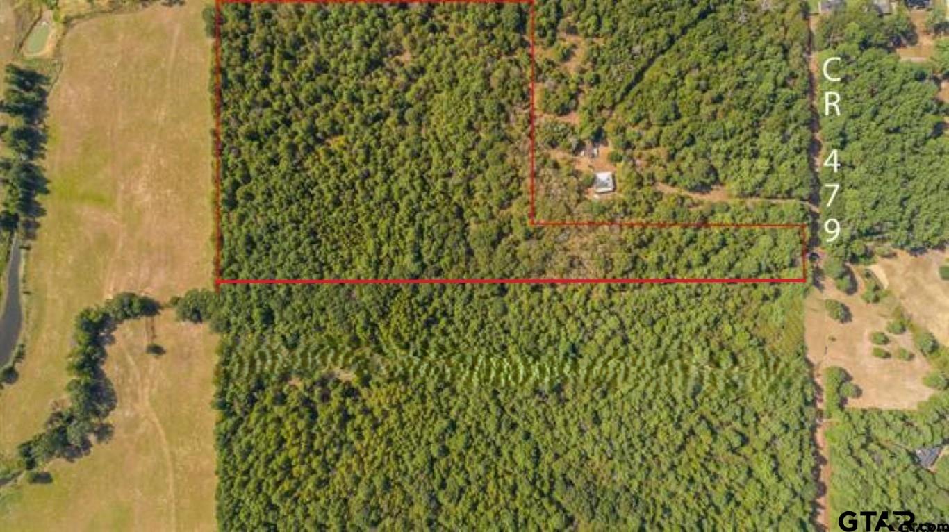 TBD CR 479 (14.99 ac Tract 4)