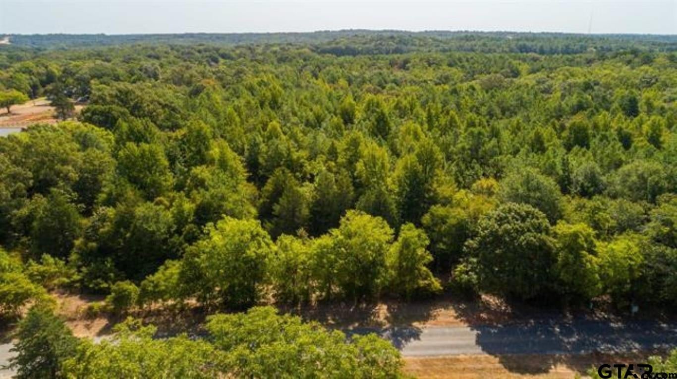 TBD CR 479 (14.99 ac Tract 4)