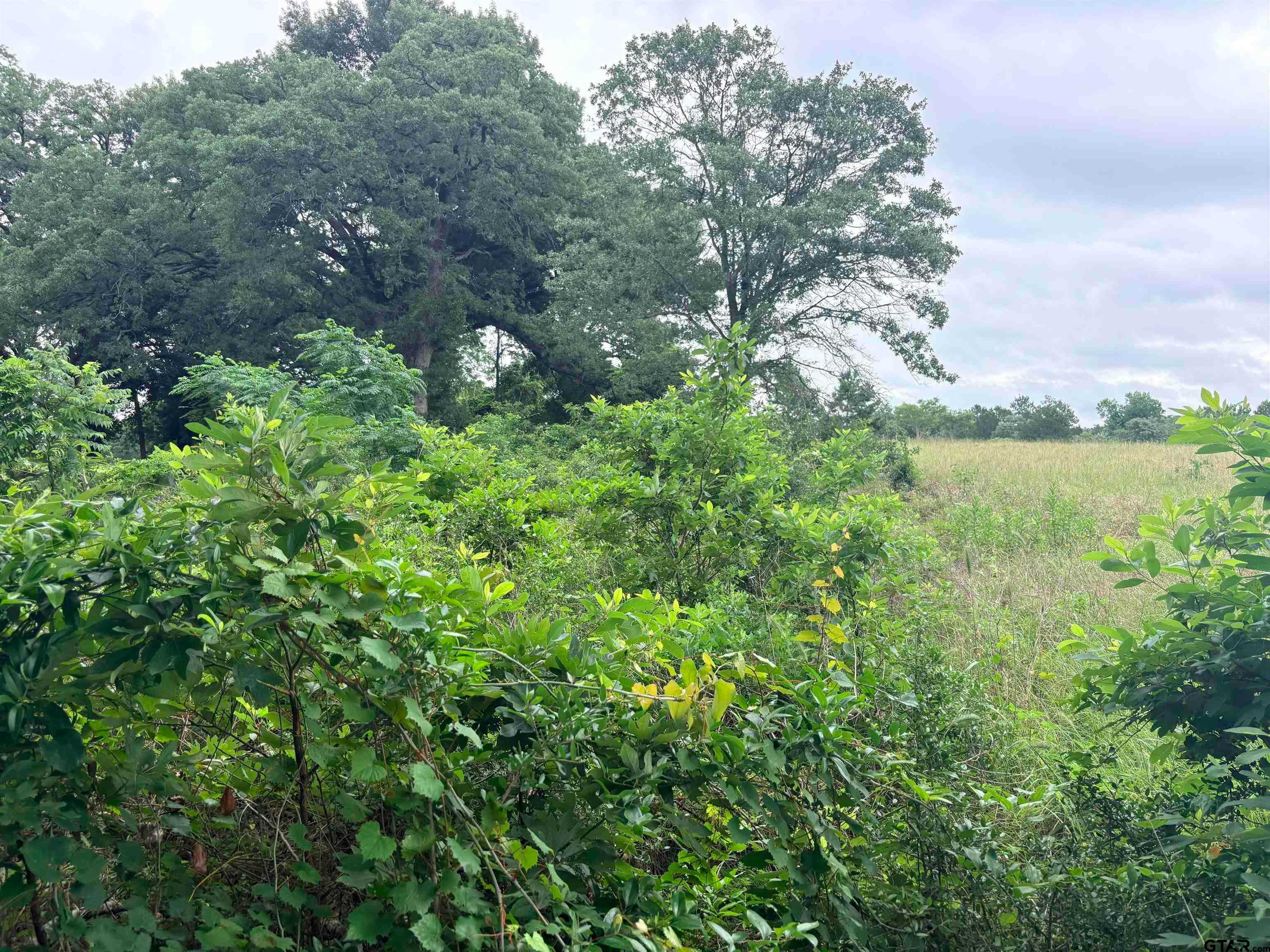 TBD LOT 2 COUNTY ROAD 401