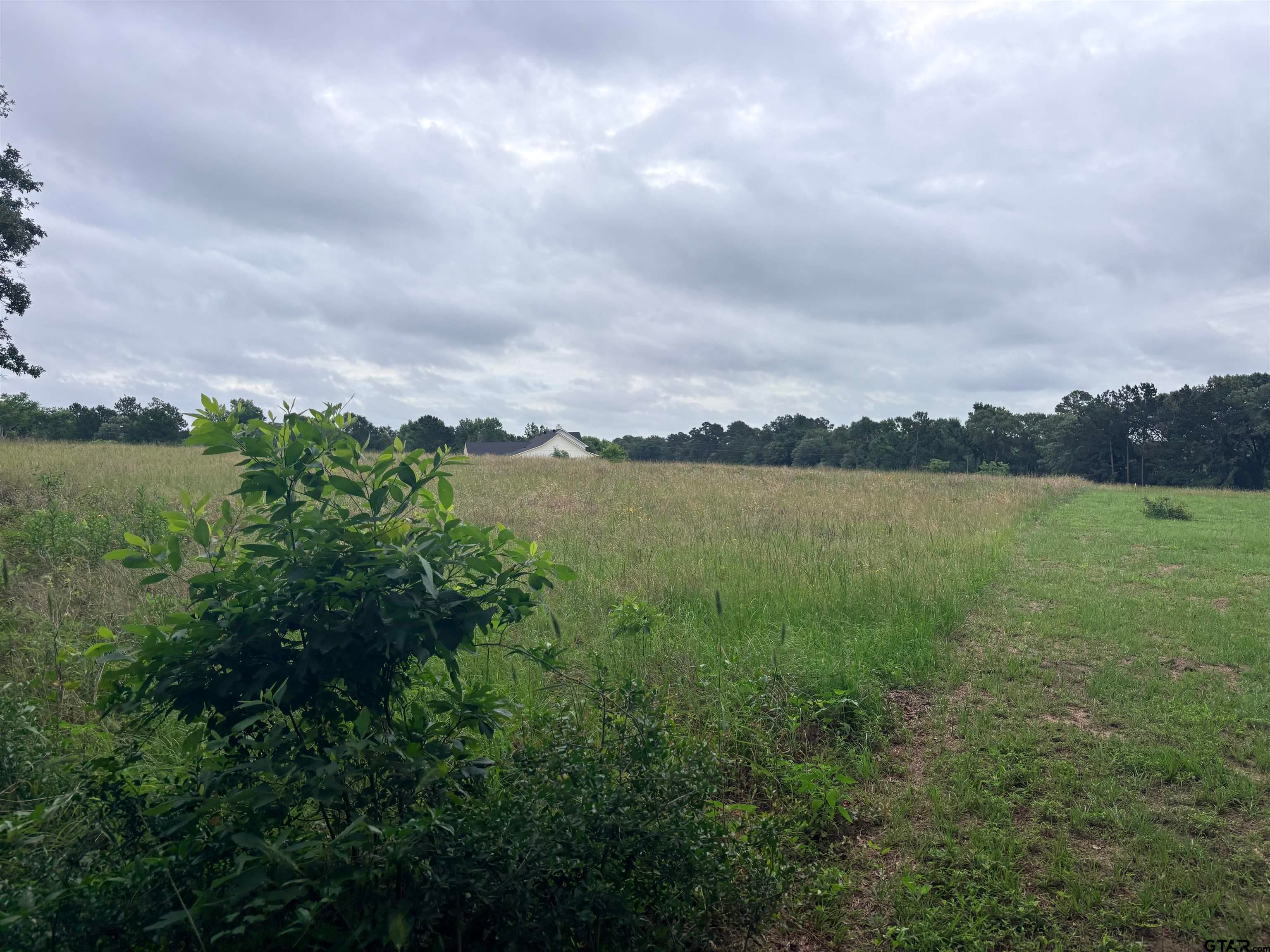 TBD LOT 2 COUNTY ROAD 401