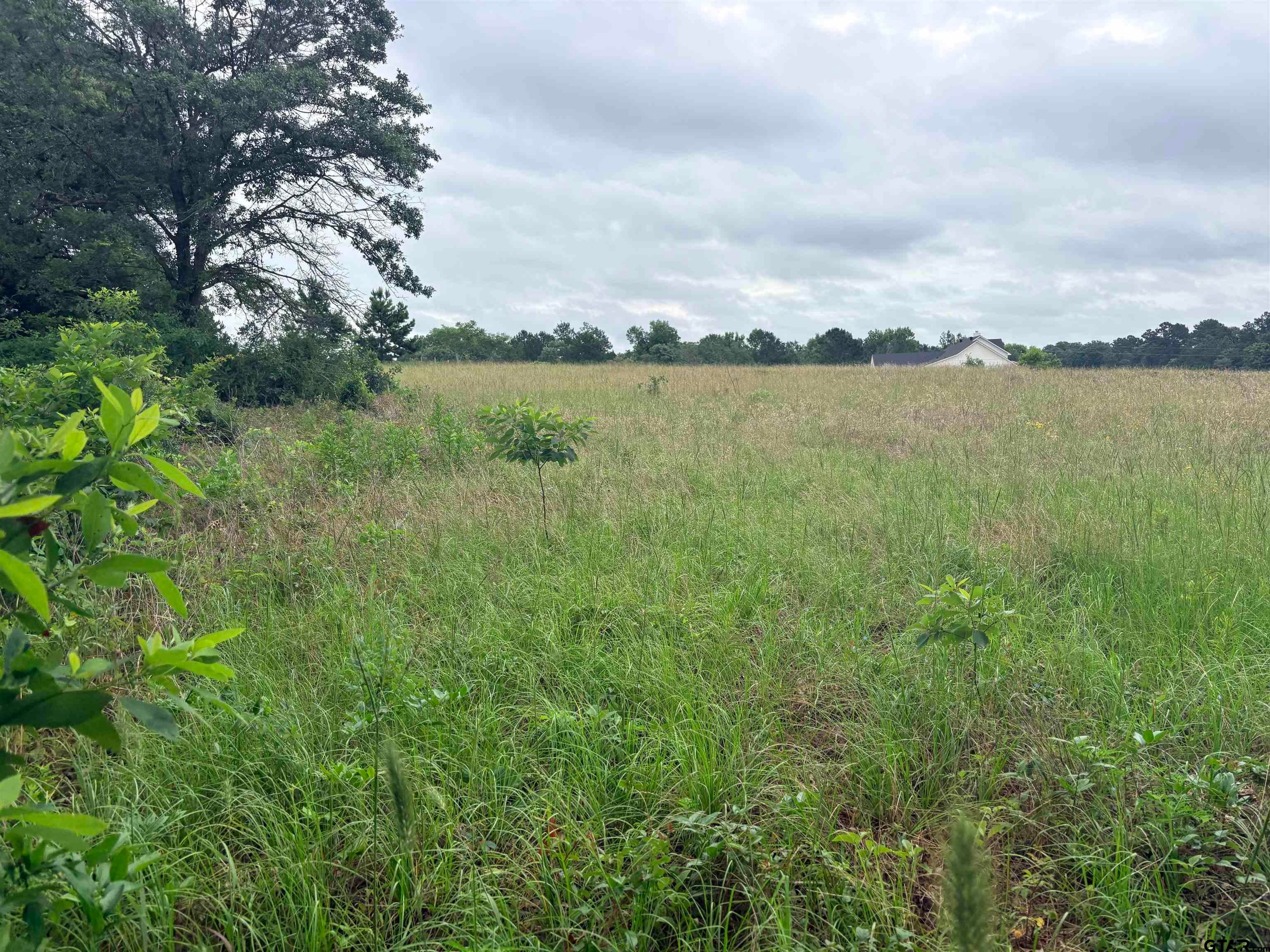 TBD LOT 2 COUNTY ROAD 401
