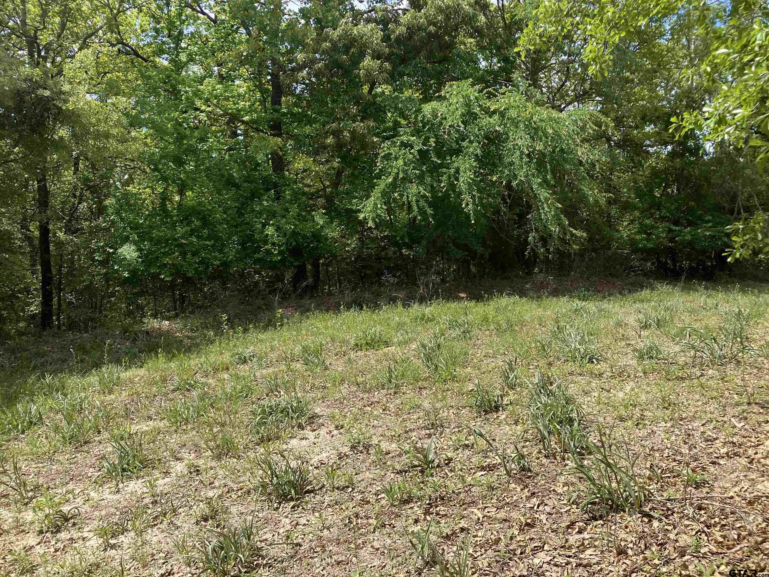 2433 Wellington Trace