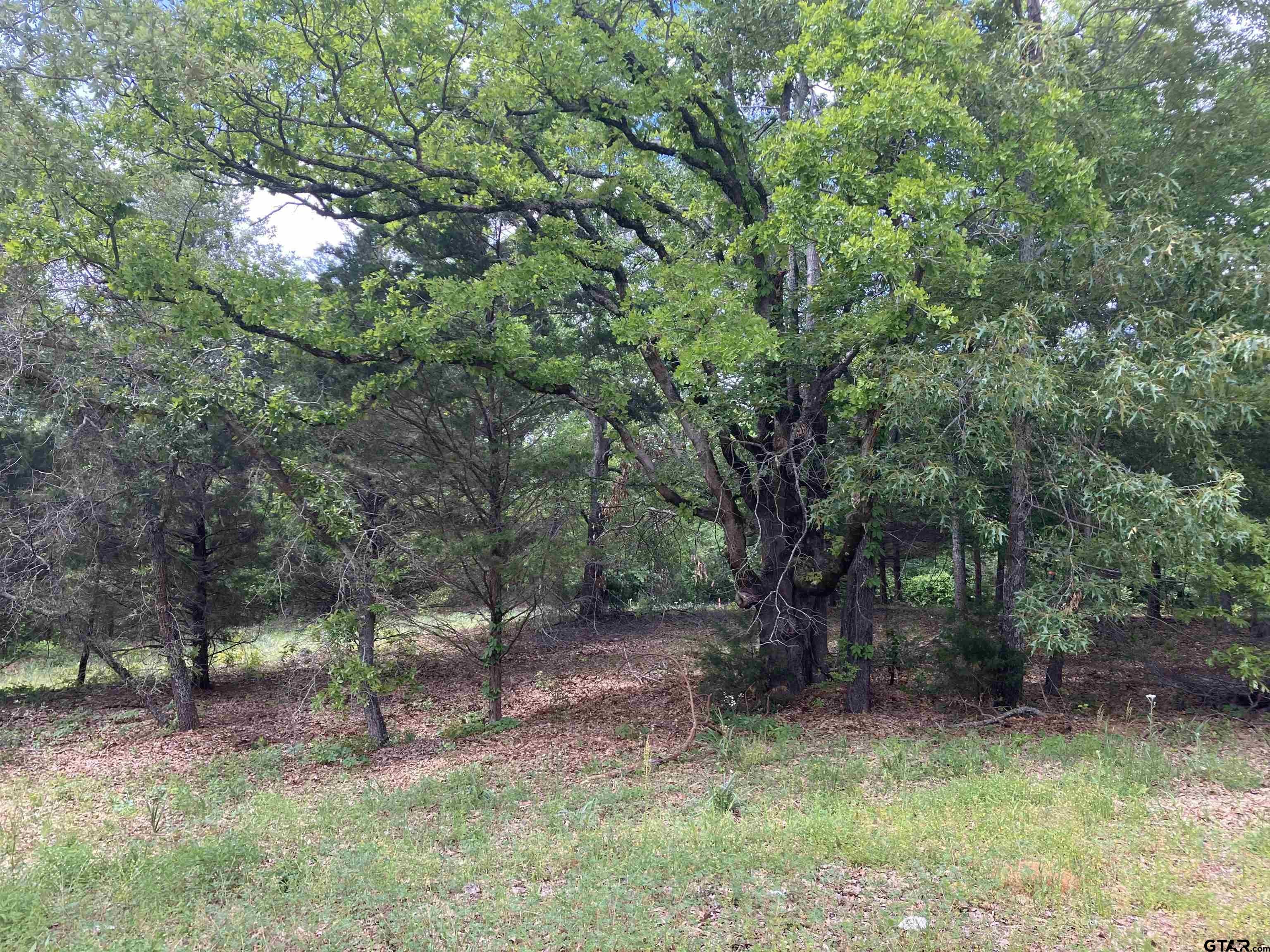 2433 Wellington Trace