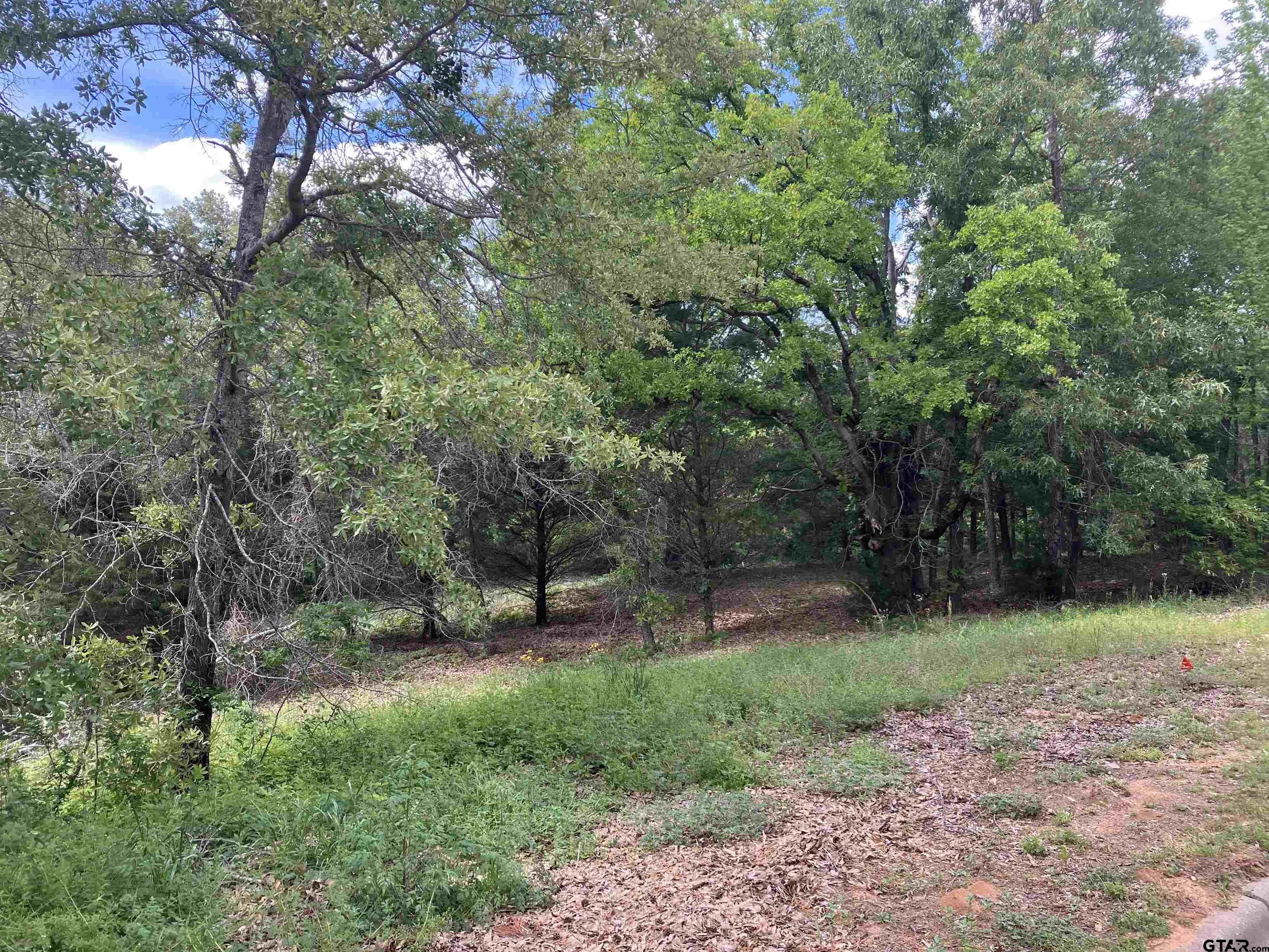 2433 Wellington Trace