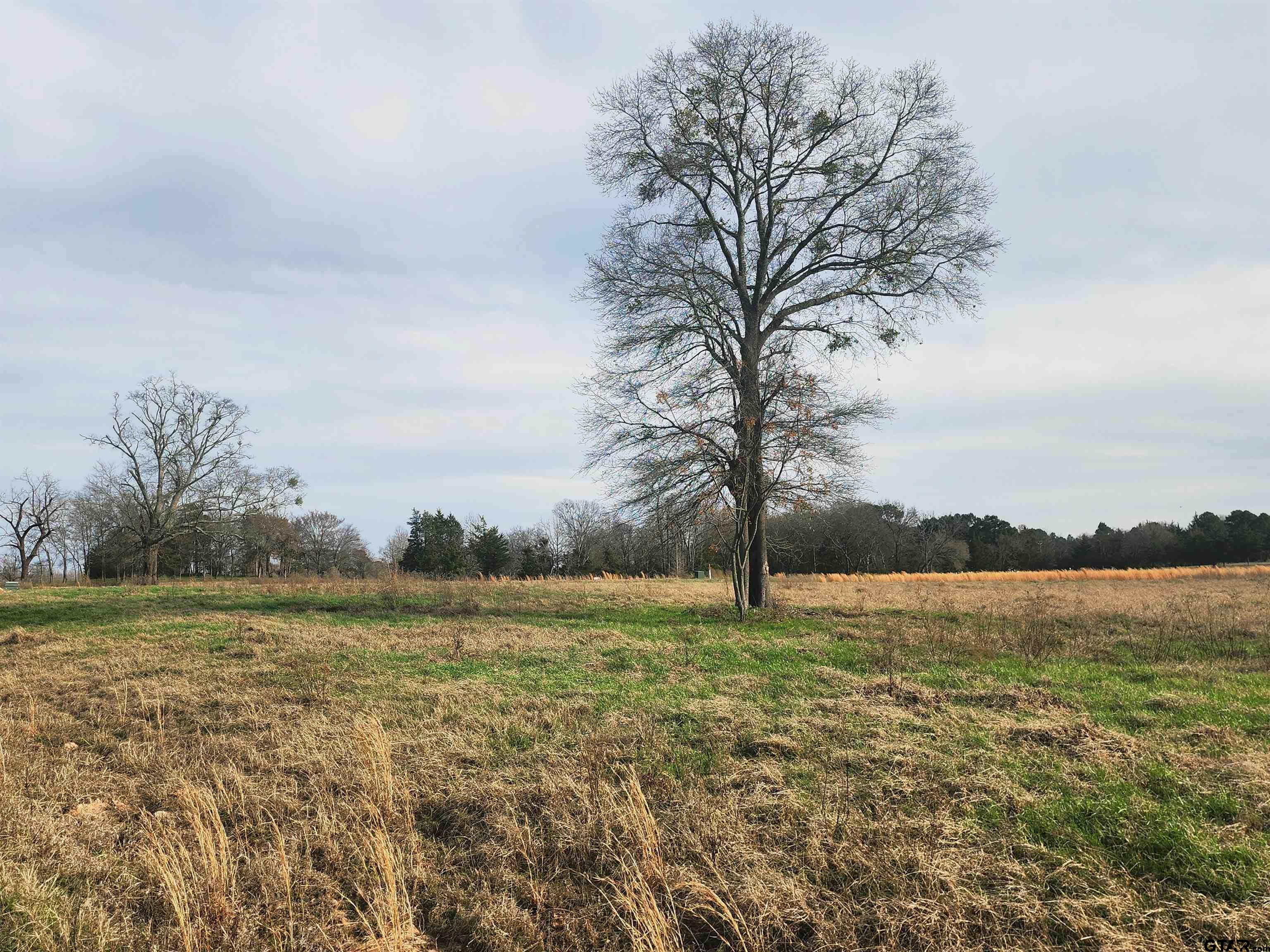 TBD Southshore Lot 52