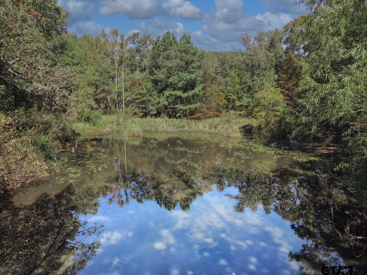 825 County Road 2260
