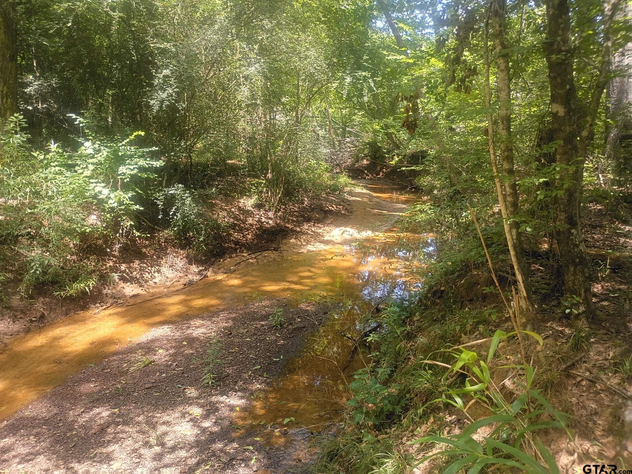 TBD County Road 1708