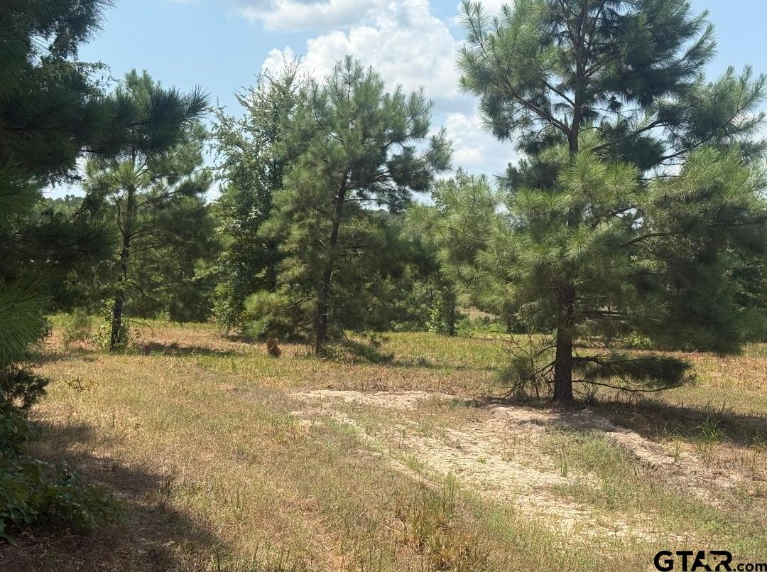 CR 4104
