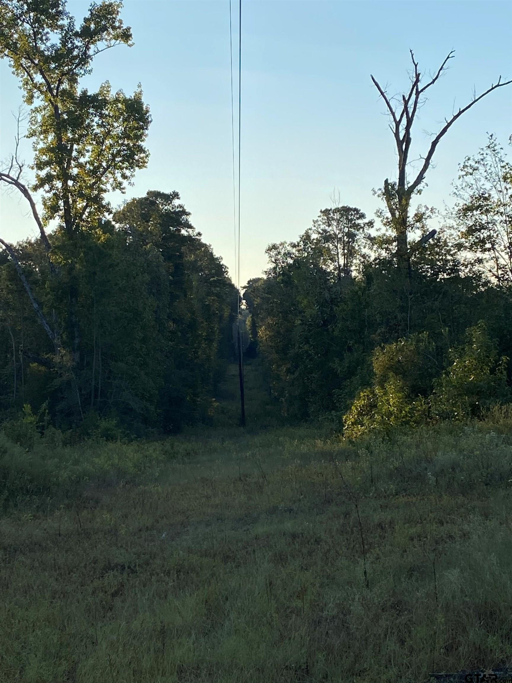 655 Co Rd 2202
