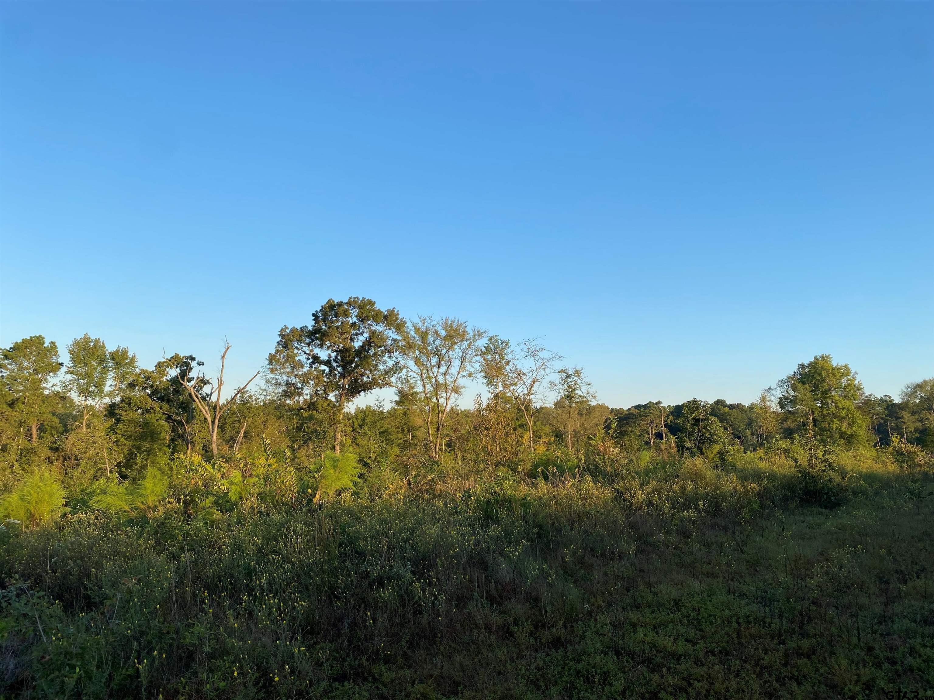 655 Co Rd 2202