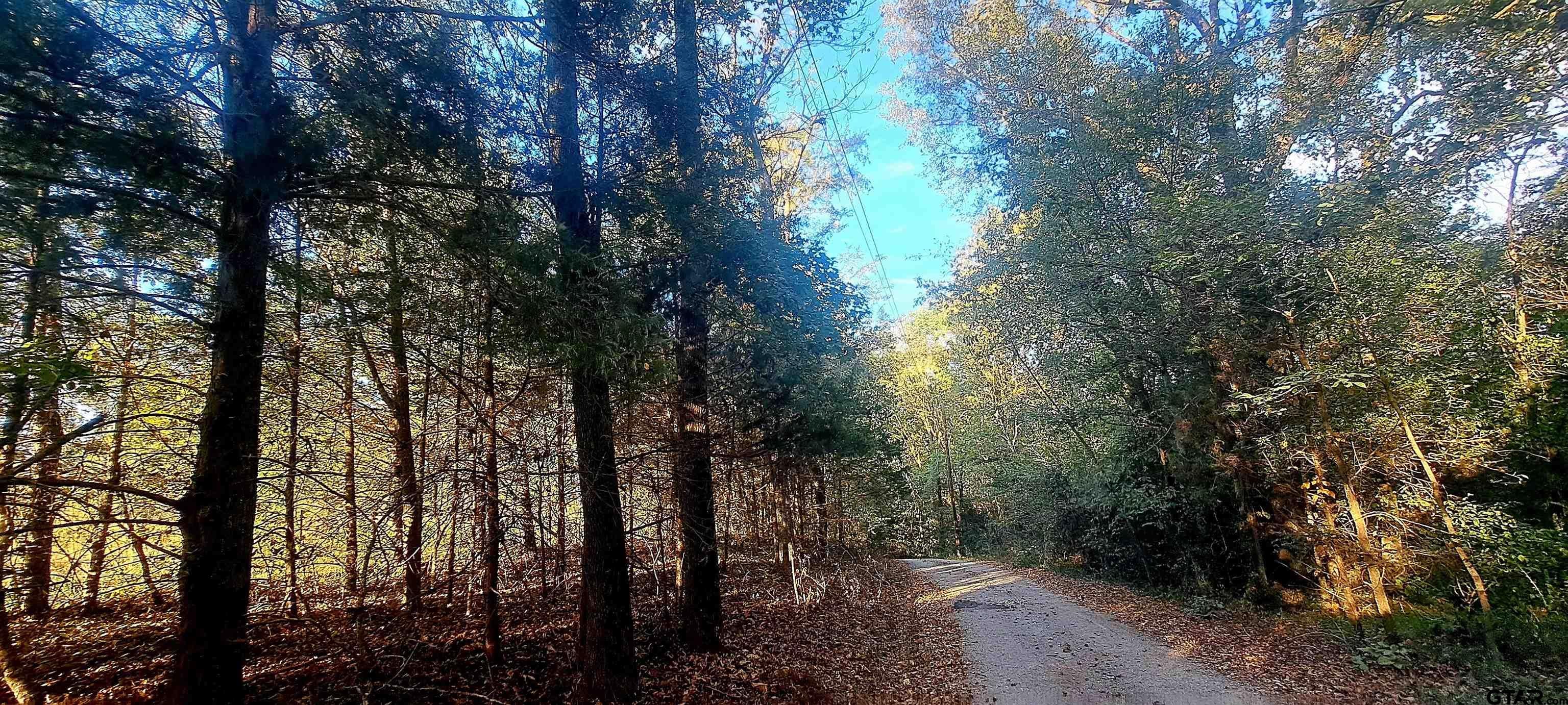 10774 County Road 494 (multiple addresses)