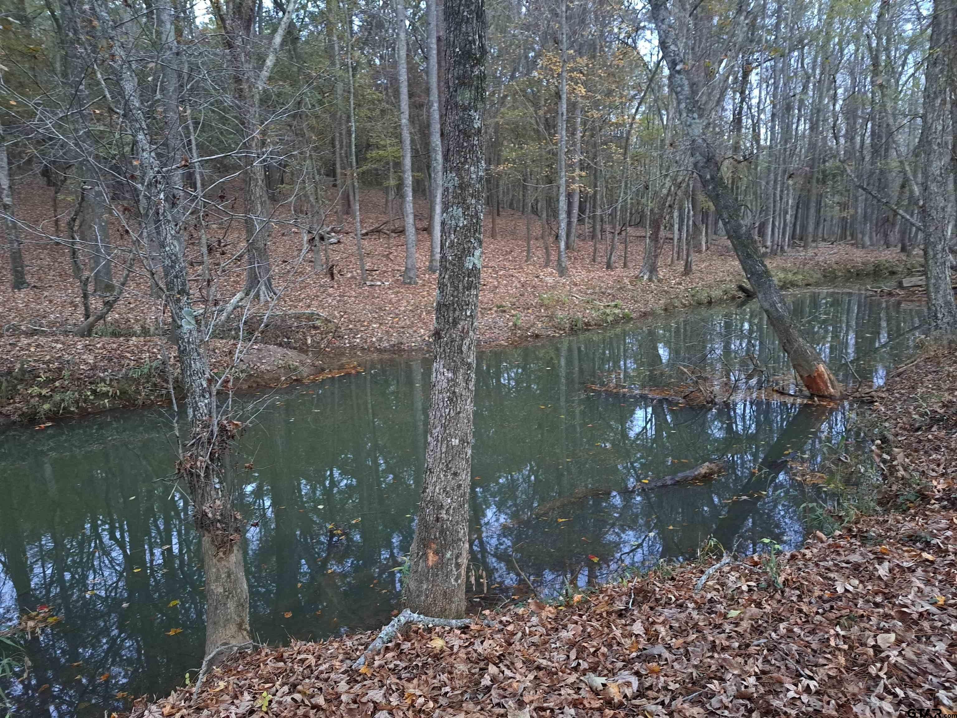 10774 County Road 494 (multiple addresses)