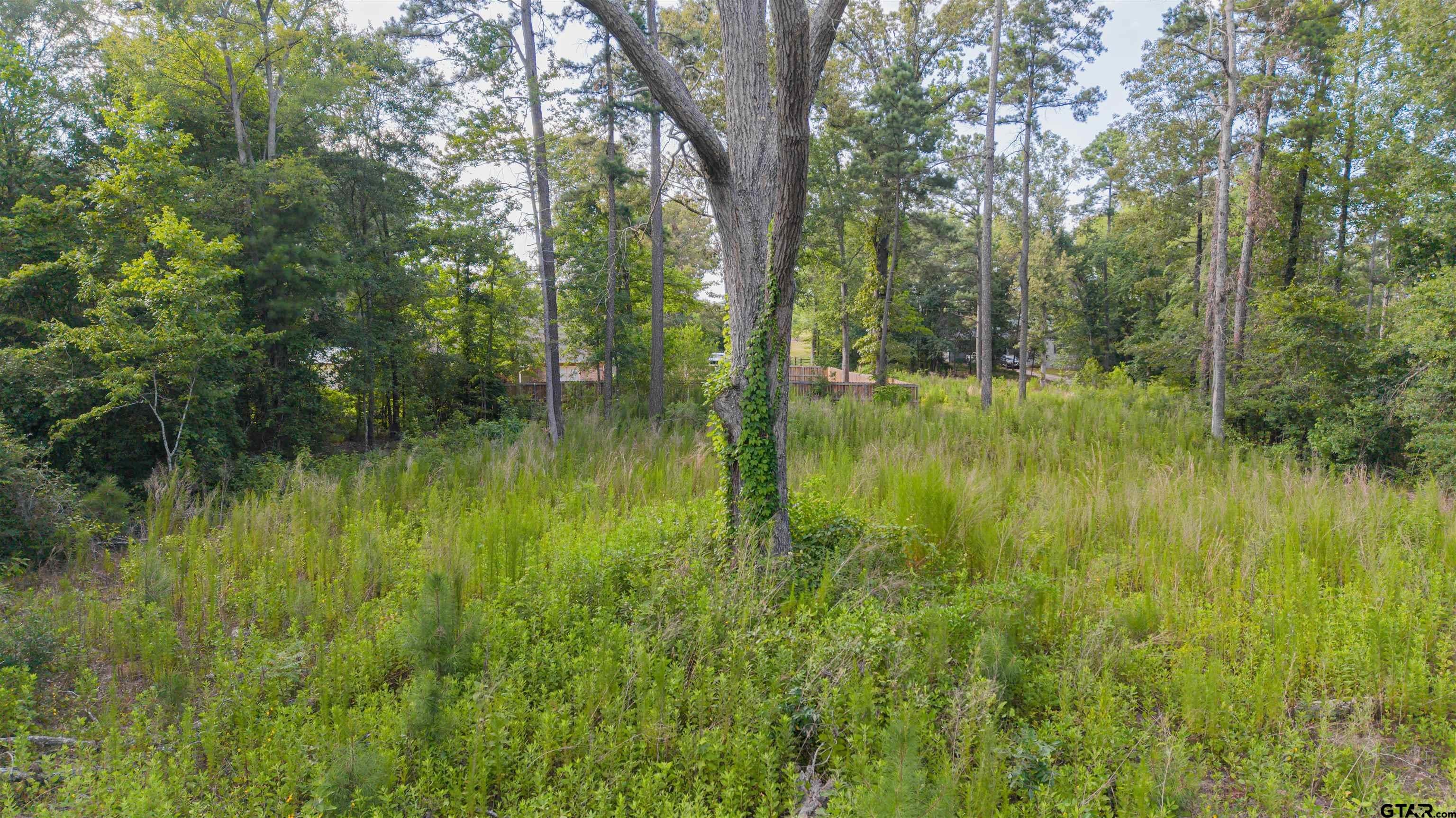 411 & 428 Forestwood