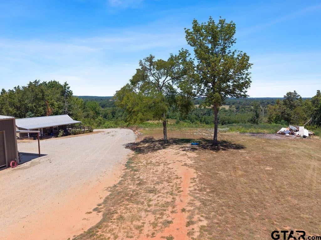551 County Road 4203