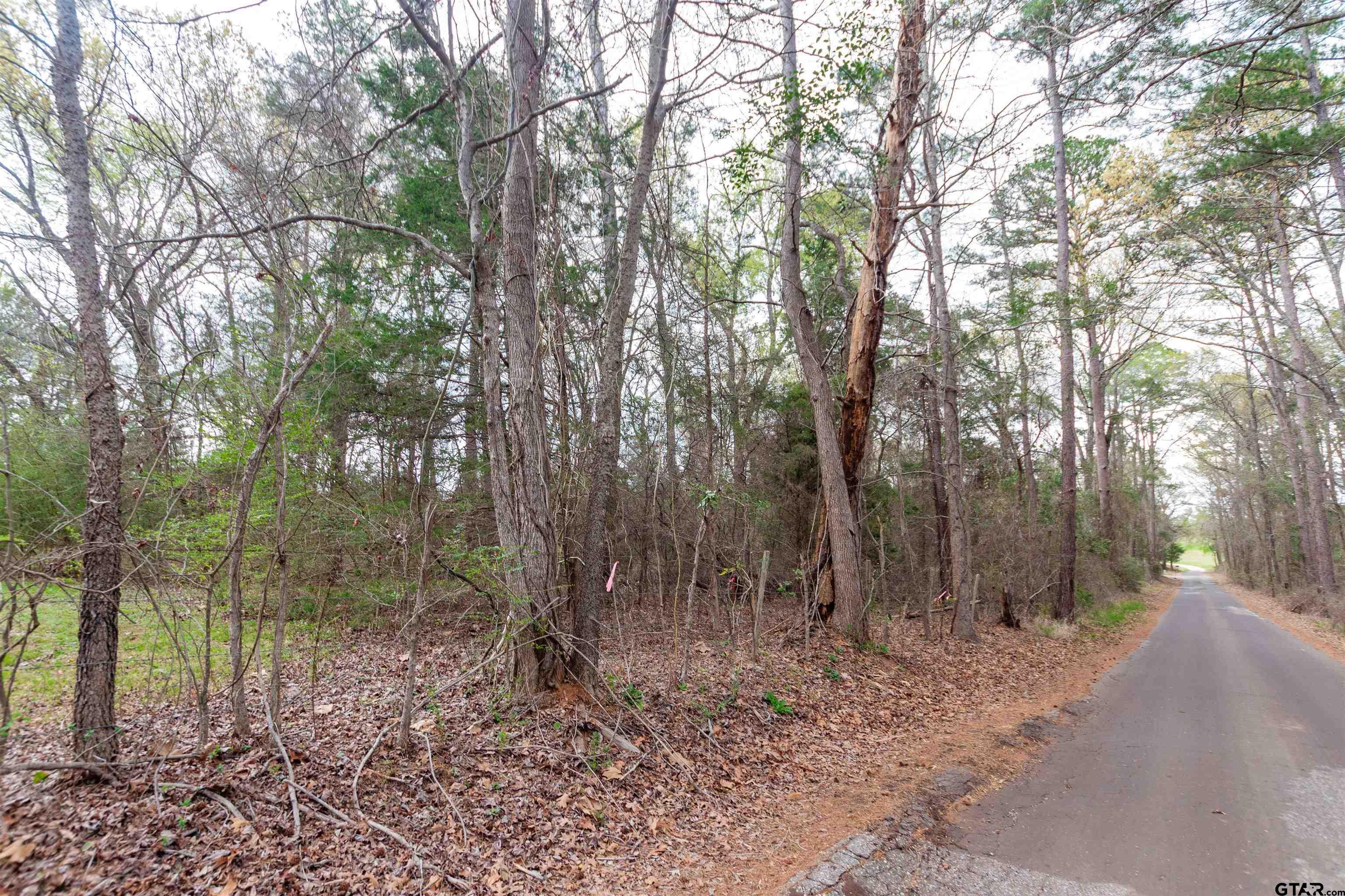 TR2 County Road 2182