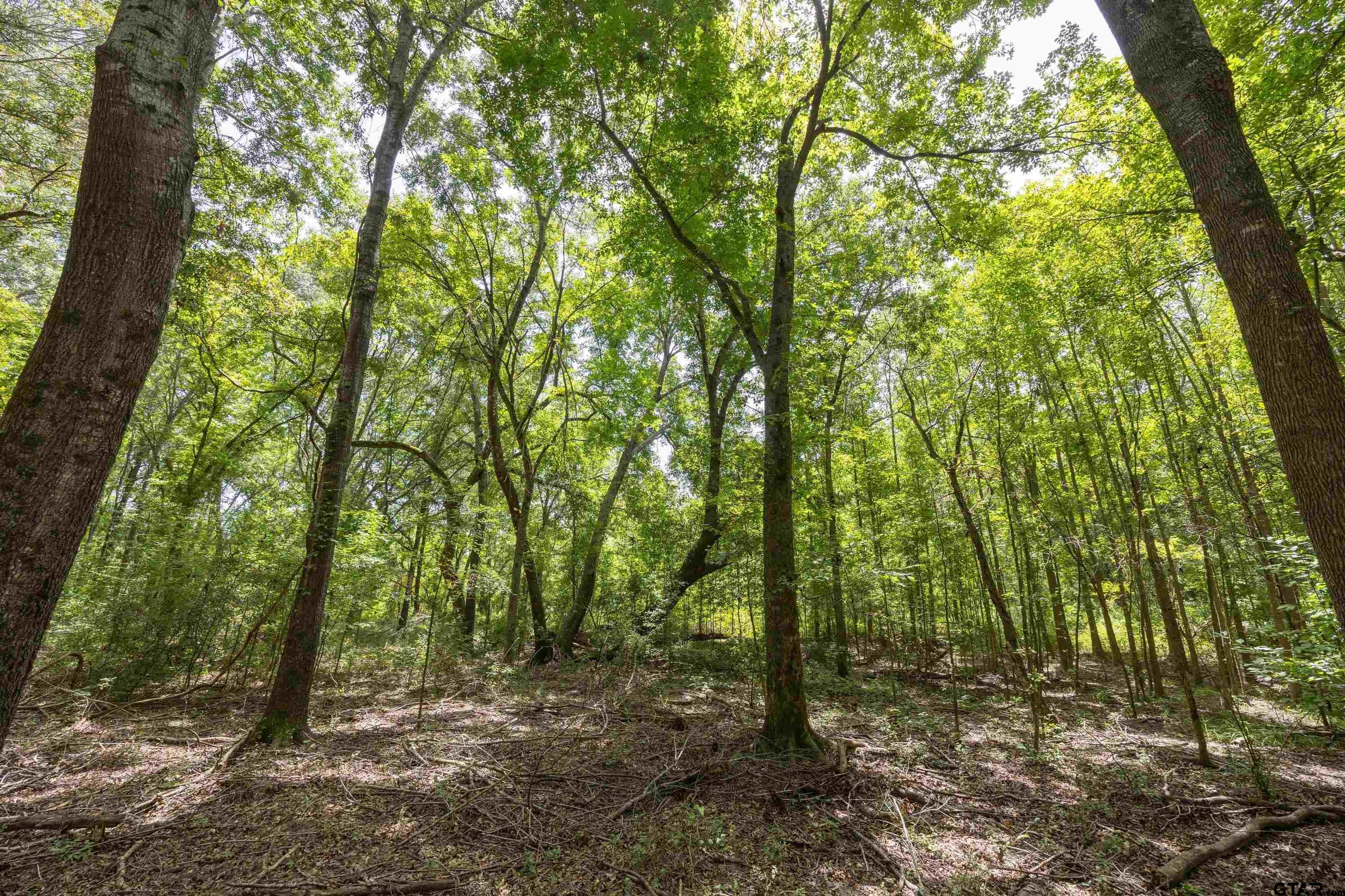 Tract 6 Hwy 155