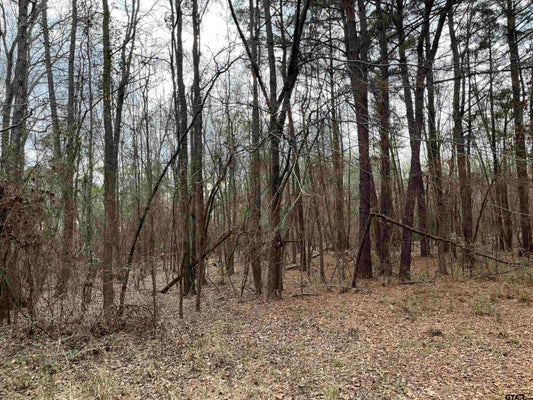 VENUS RD, GLADEWATER, TX 75647 - Image 2a4ae65abc61315ffe4d03e3db6c262d/2654429957